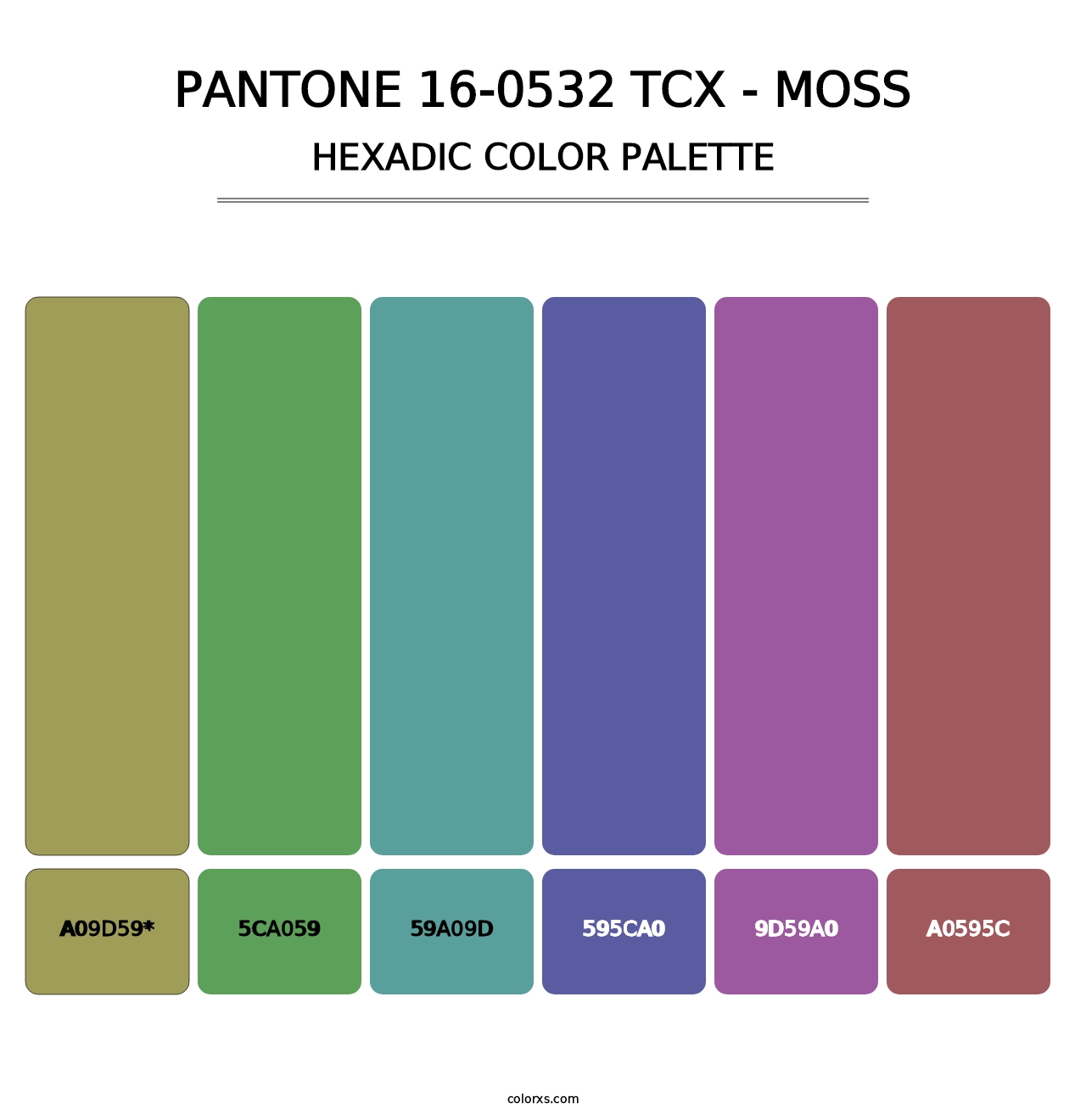 PANTONE 16-0532 TCX - Moss - Hexadic Color Palette