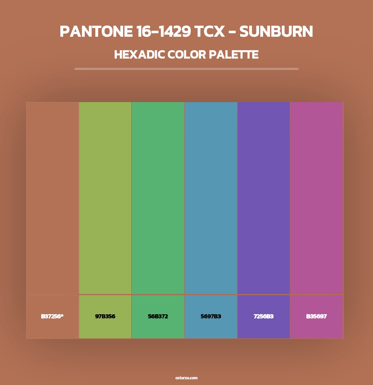 PANTONE 16-1429 TCX - Sunburn - Hexadic Color Palette