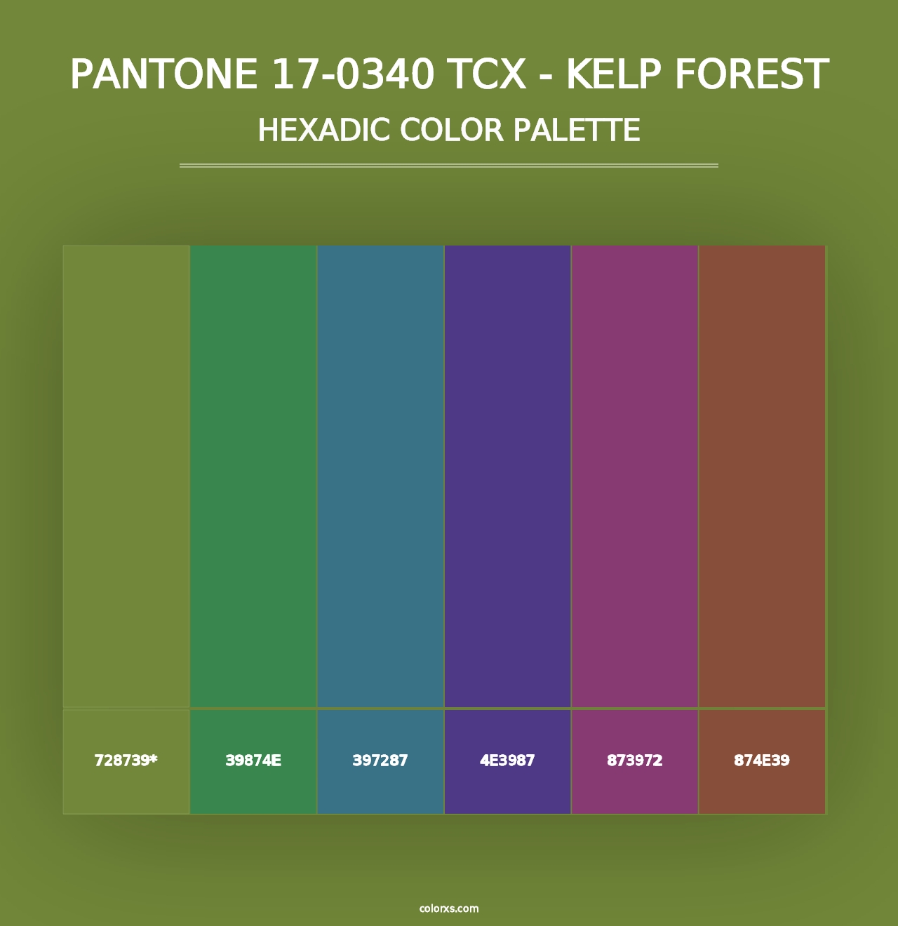 PANTONE 17-0340 TCX - Kelp Forest - Hexadic Color Palette