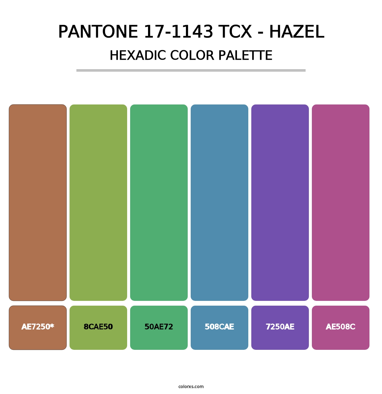 PANTONE 17-1143 TCX - Hazel - Hexadic Color Palette