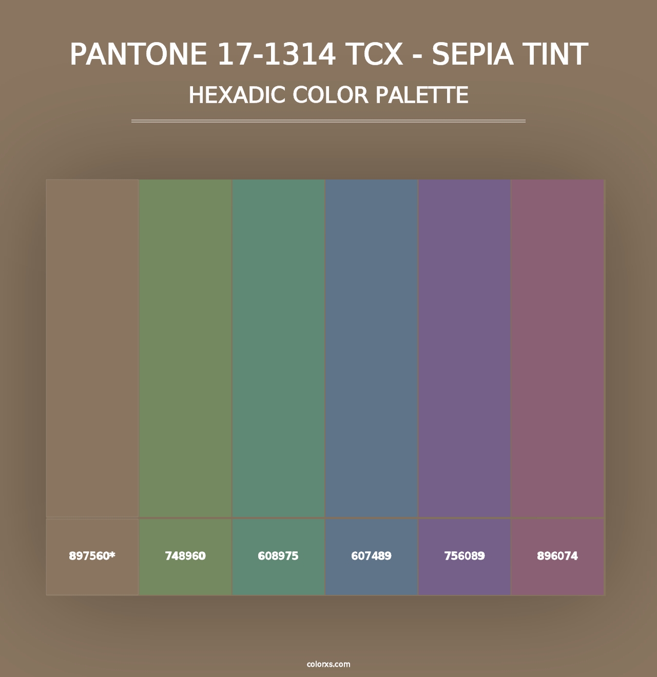 PANTONE 17-1314 TCX - Sepia Tint - Hexadic Color Palette