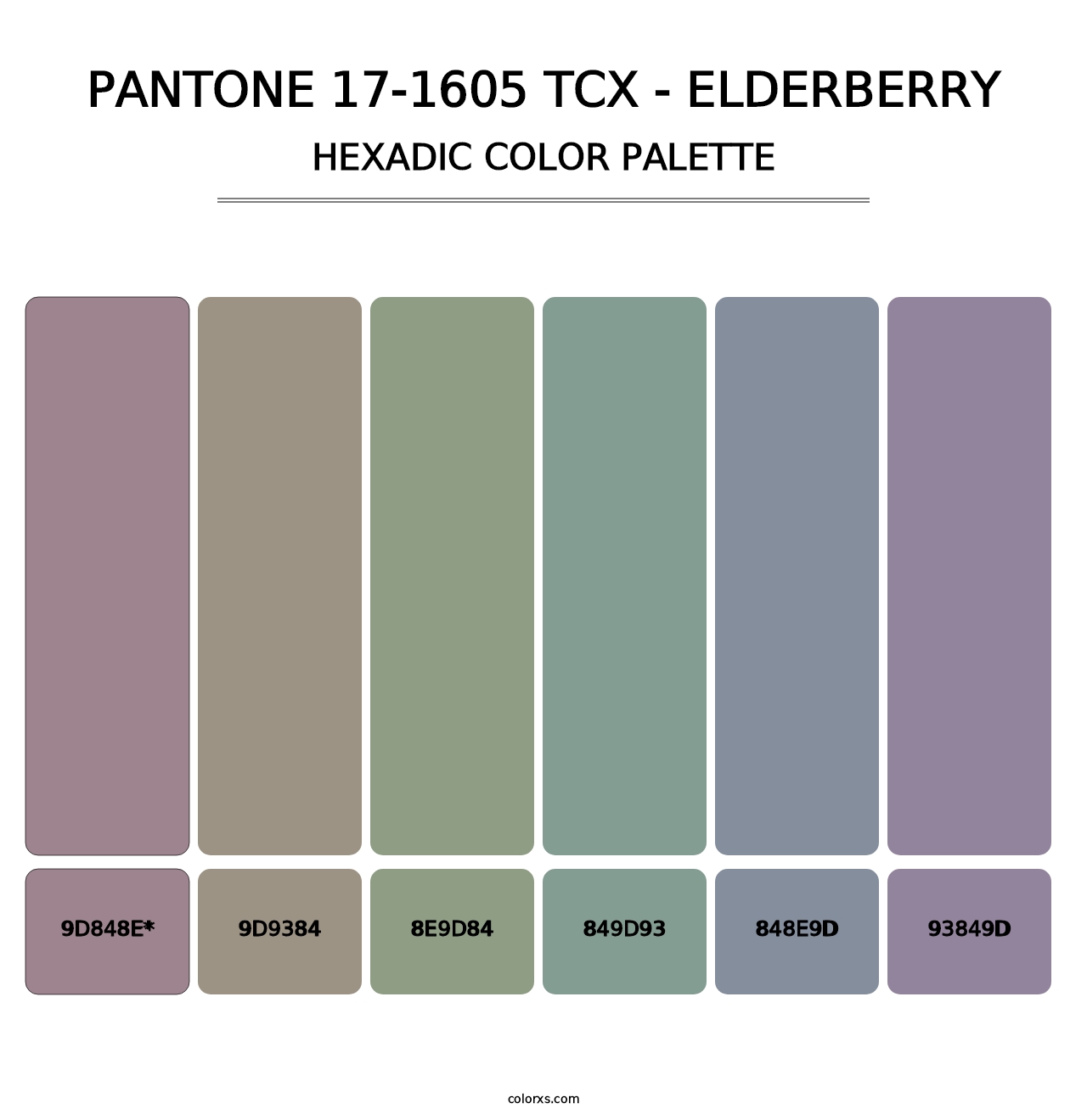 PANTONE 17-1605 TCX - Elderberry - Hexadic Color Palette