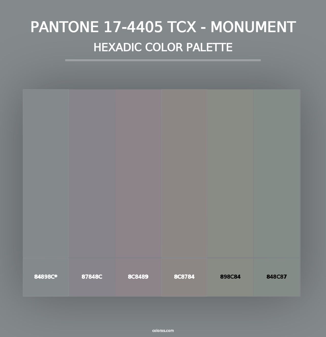 PANTONE 17-4405 TCX - Monument - Hexadic Color Palette