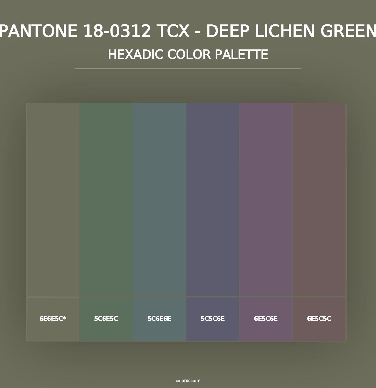 PANTONE 18-0312 TCX - Deep Lichen Green - Hexadic Color Palette