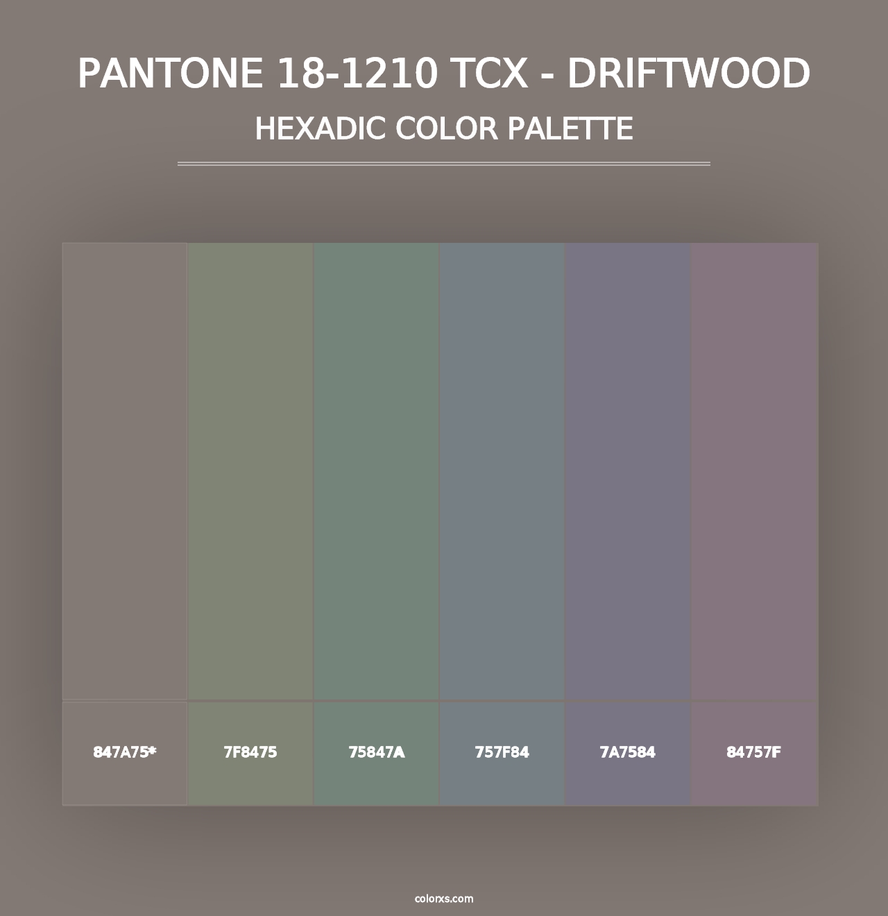 PANTONE 18-1210 TCX - Driftwood - Hexadic Color Palette