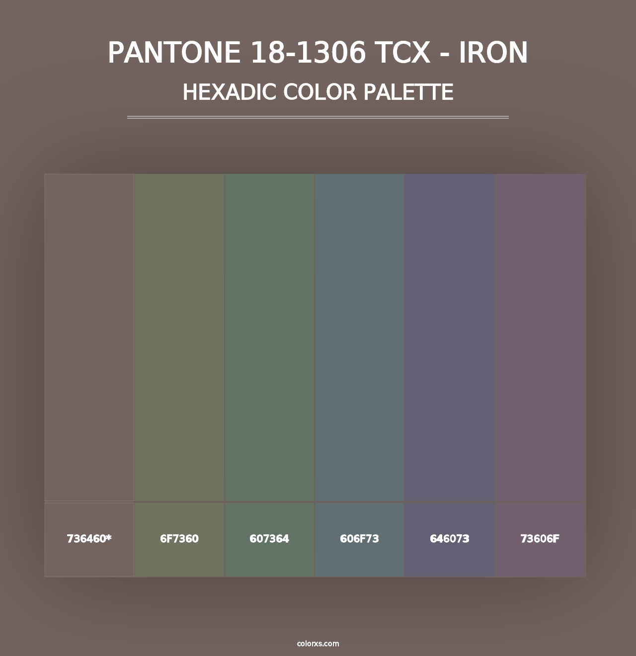 PANTONE 18-1306 TCX - Iron - Hexadic Color Palette