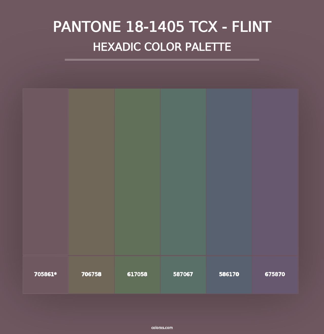 PANTONE 18-1405 TCX - Flint - Hexadic Color Palette