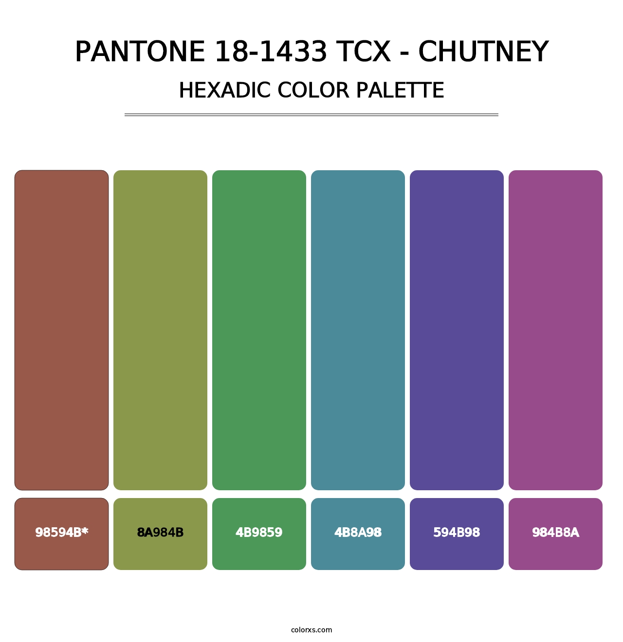 PANTONE 18-1433 TCX - Chutney - Hexadic Color Palette