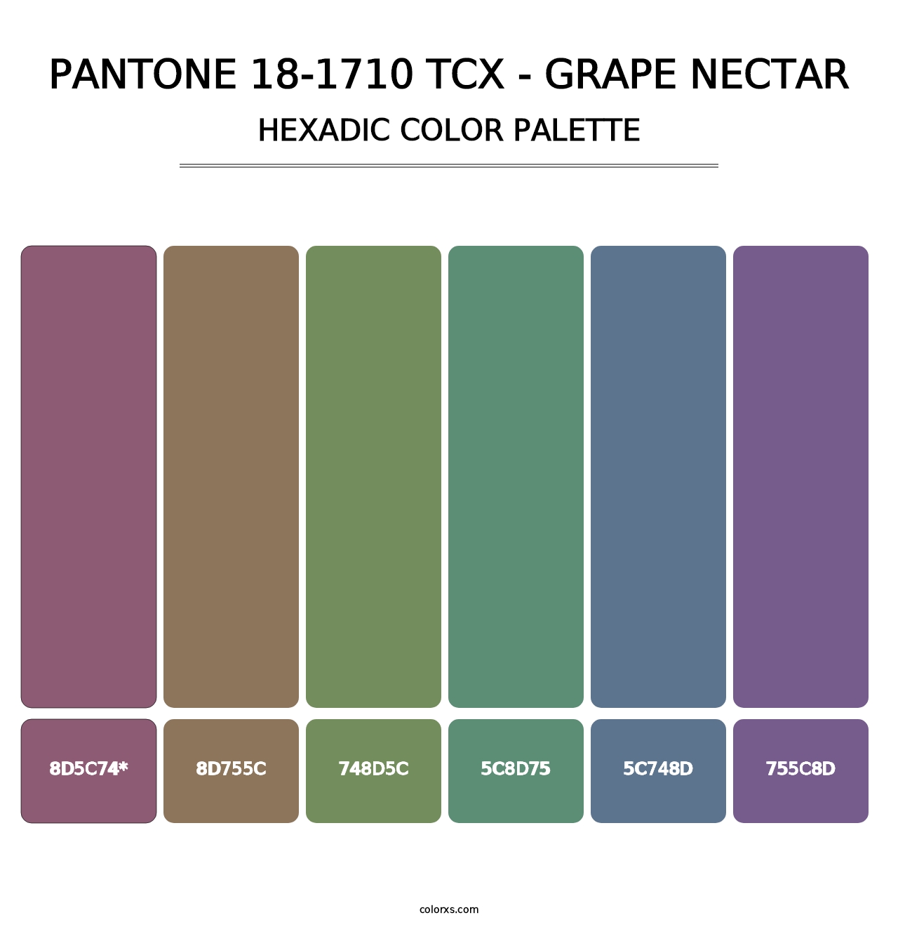 PANTONE 18-1710 TCX - Grape Nectar - Hexadic Color Palette