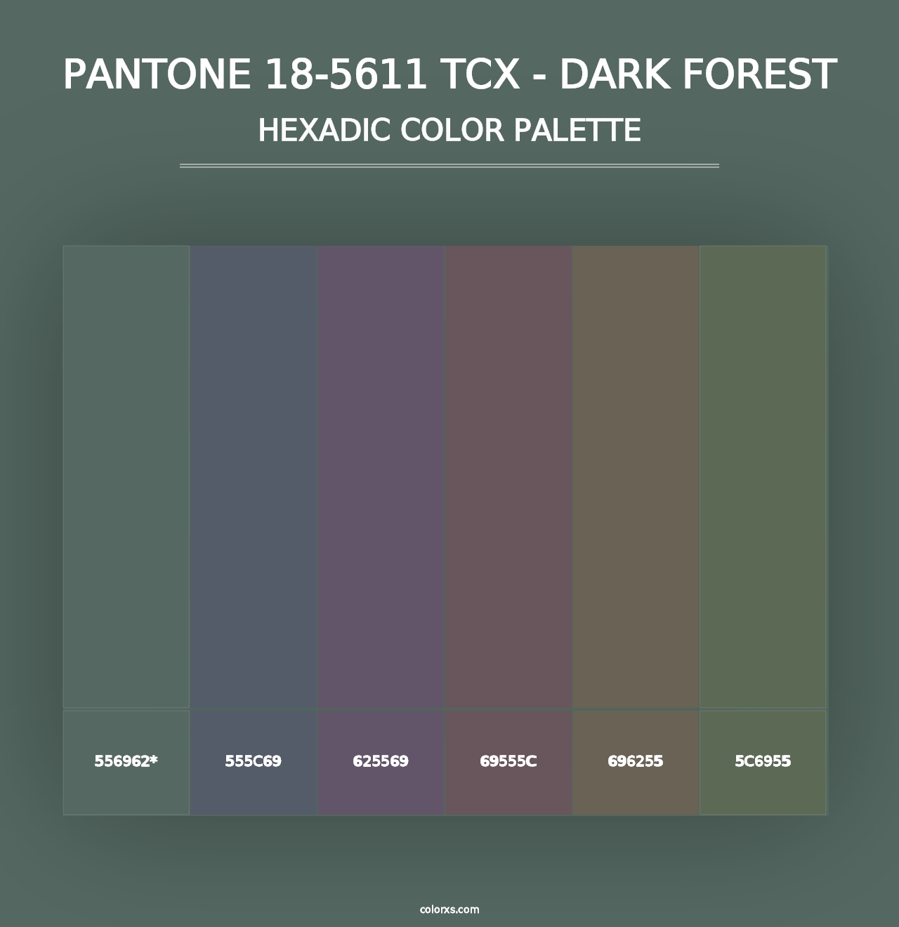 PANTONE 18-5611 TCX - Dark Forest - Hexadic Color Palette