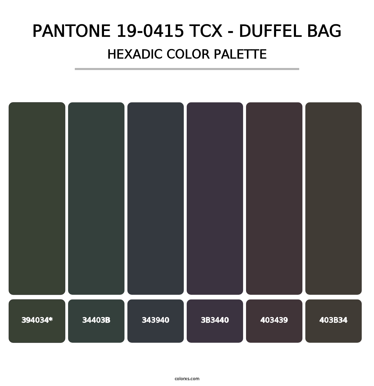 PANTONE 19-0415 TCX - Duffel Bag - Hexadic Color Palette