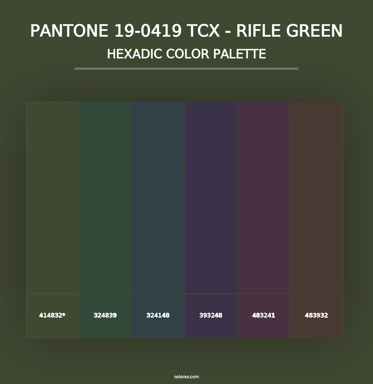 PANTONE 19-0419 TCX - Rifle Green - Hexadic Color Palette