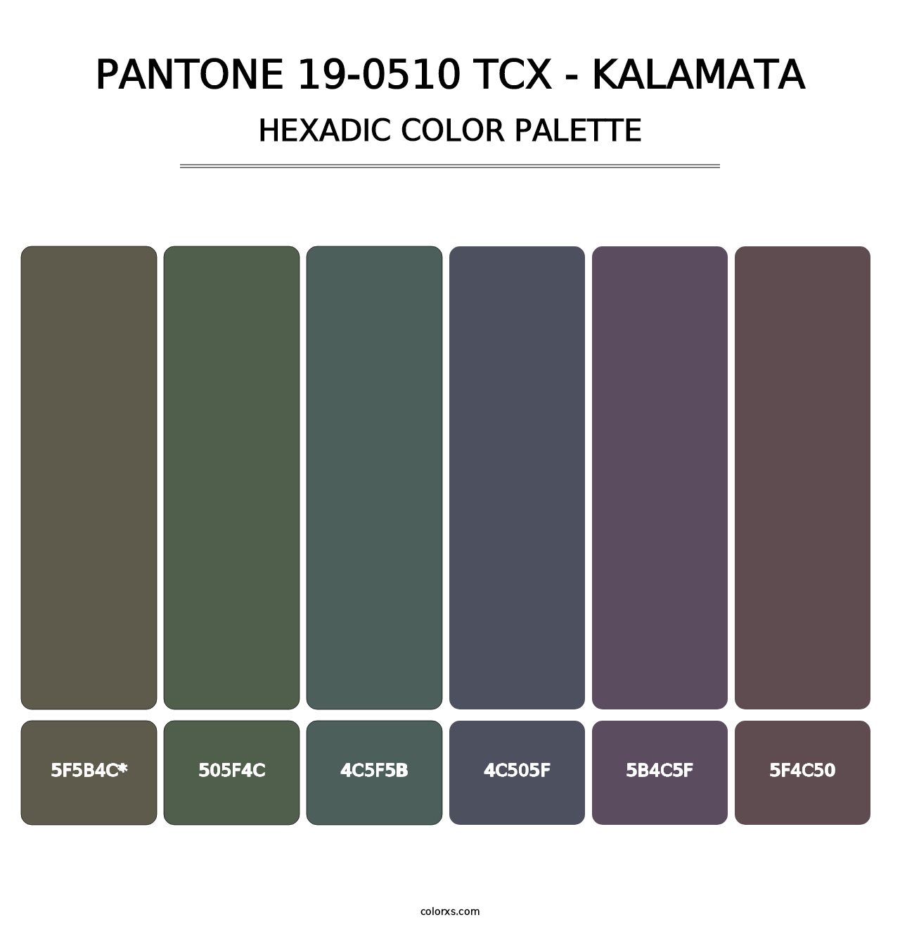 PANTONE 19-0510 TCX - Kalamata - Hexadic Color Palette