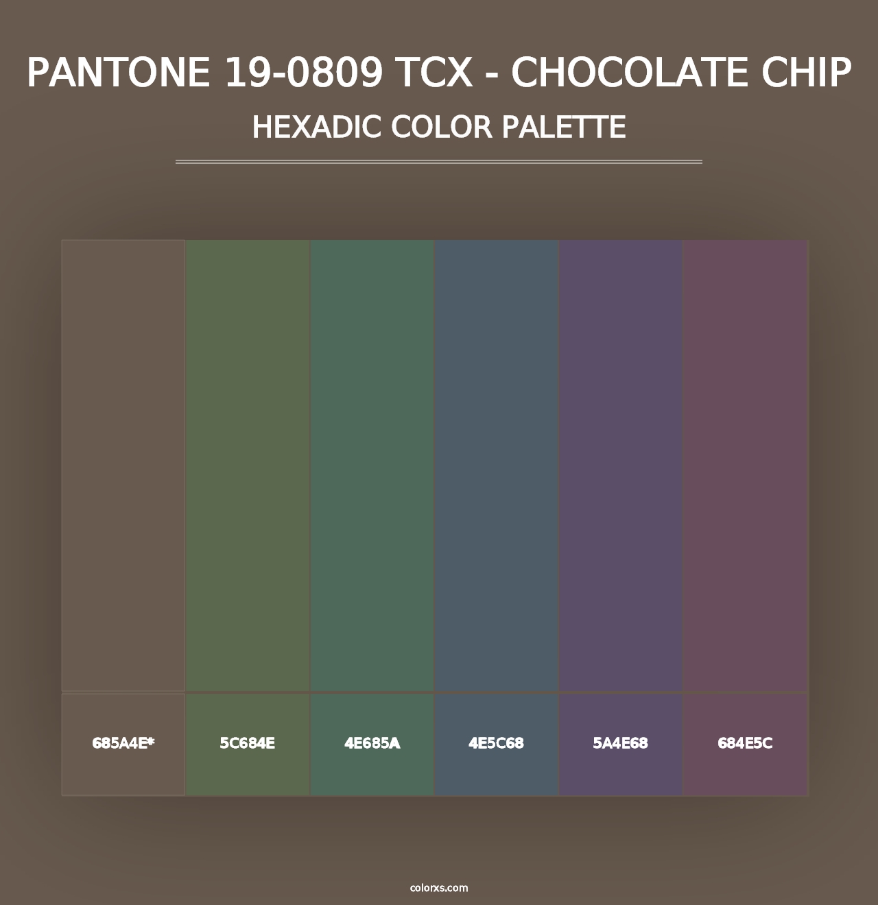 PANTONE 19-0809 TCX - Chocolate Chip - Hexadic Color Palette