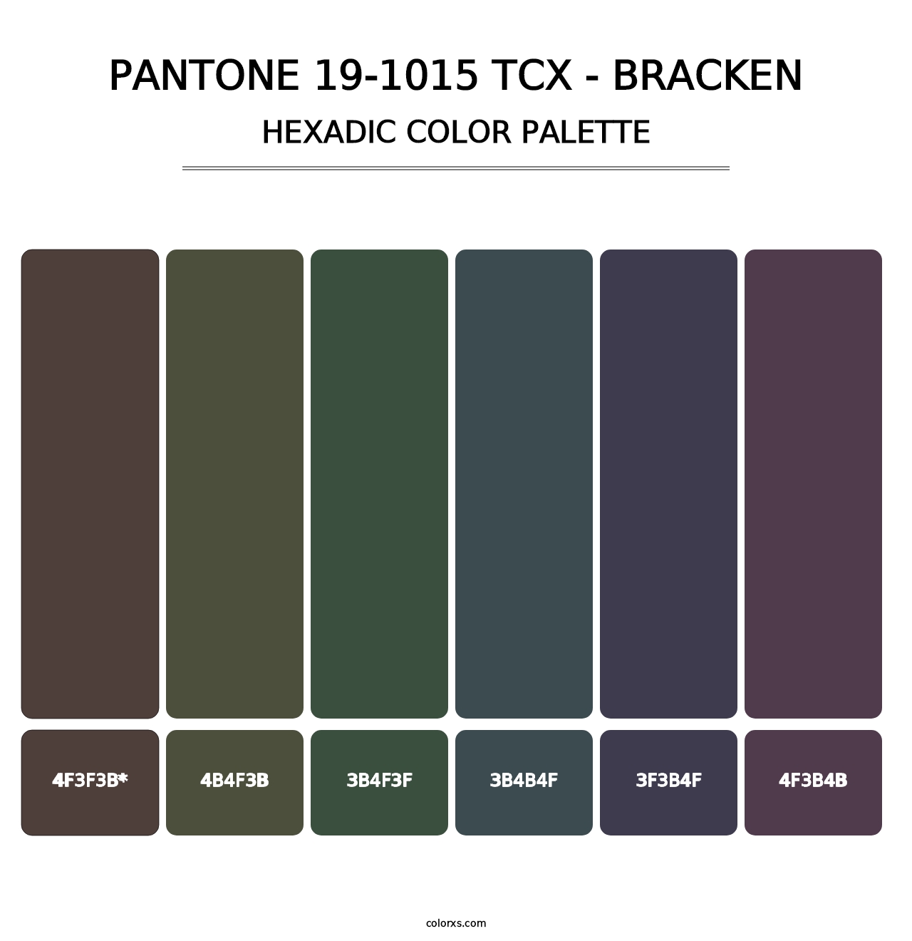 PANTONE 19-1015 TCX - Bracken - Hexadic Color Palette