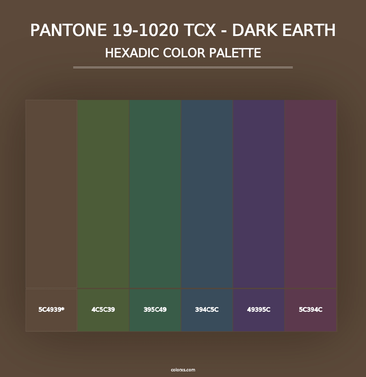 PANTONE 19-1020 TCX - Dark Earth - Hexadic Color Palette