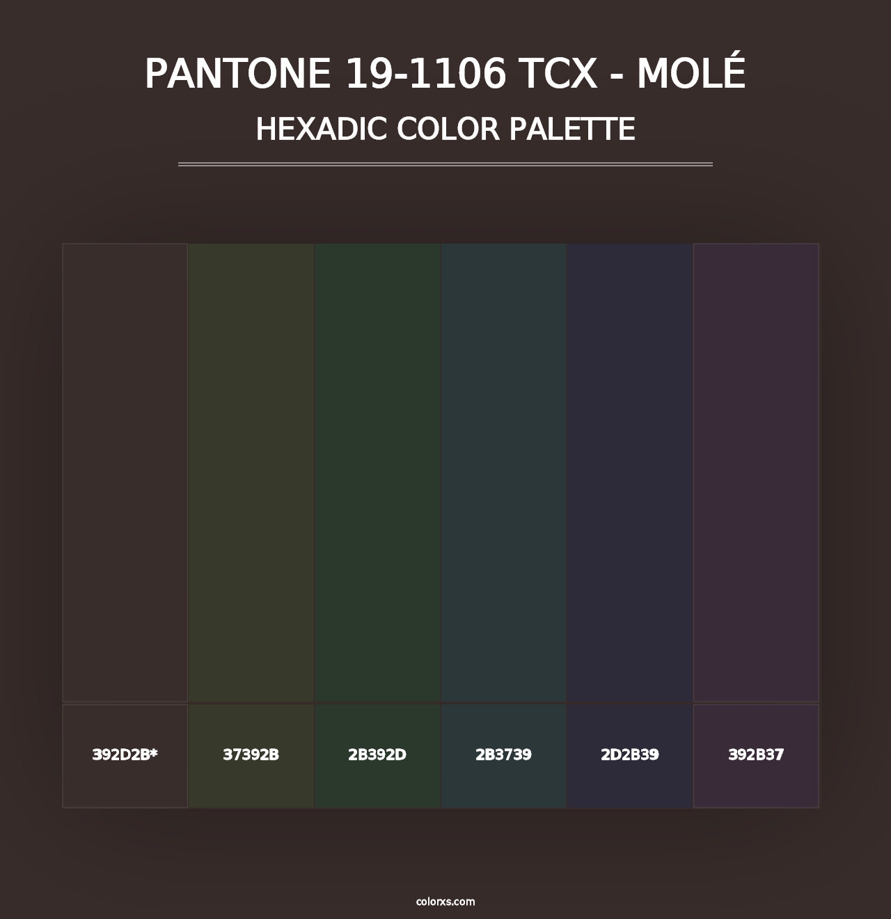 PANTONE 19-1106 TCX - Molé - Hexadic Color Palette