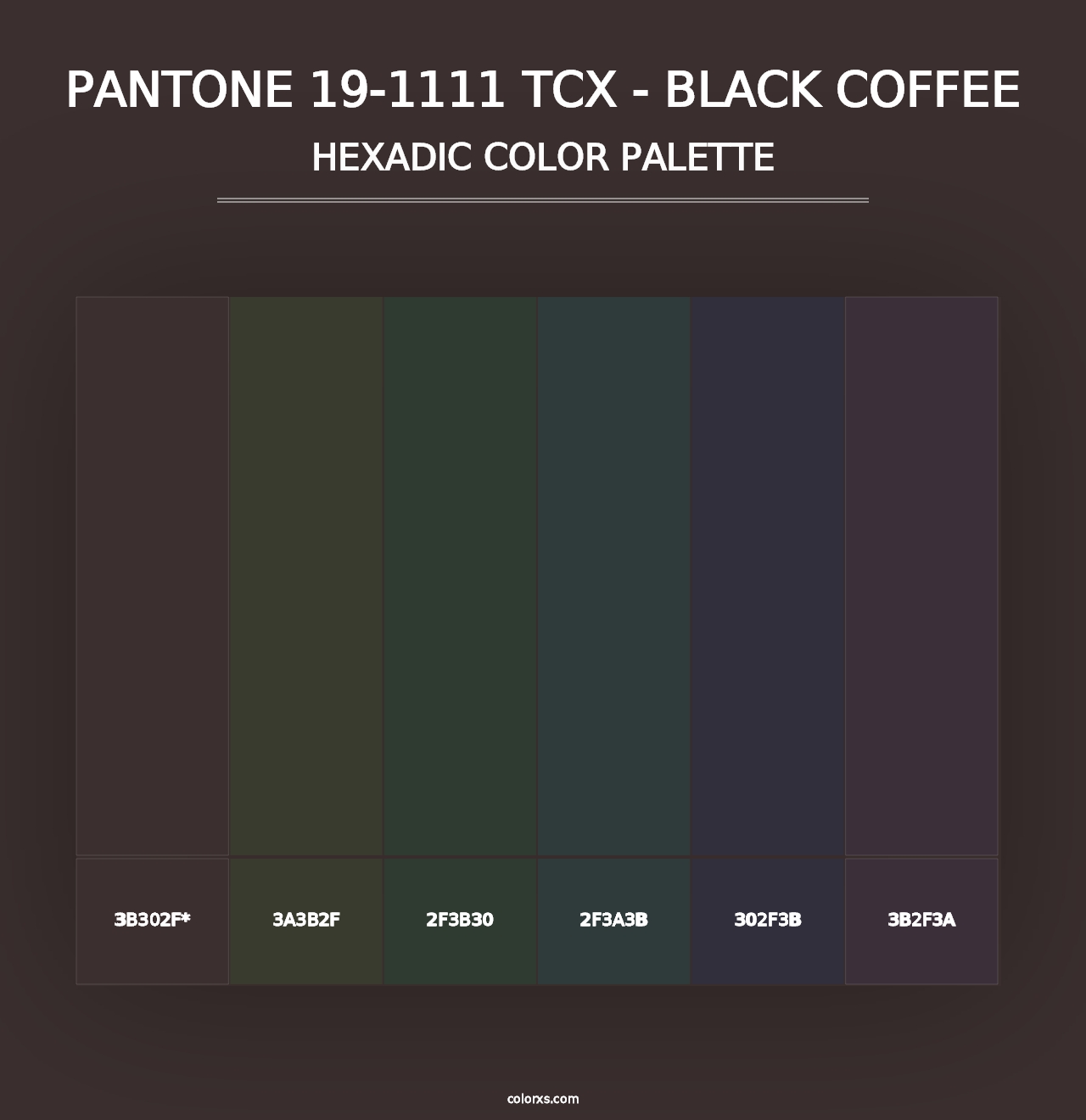 PANTONE 19-1111 TCX - Black Coffee - Hexadic Color Palette