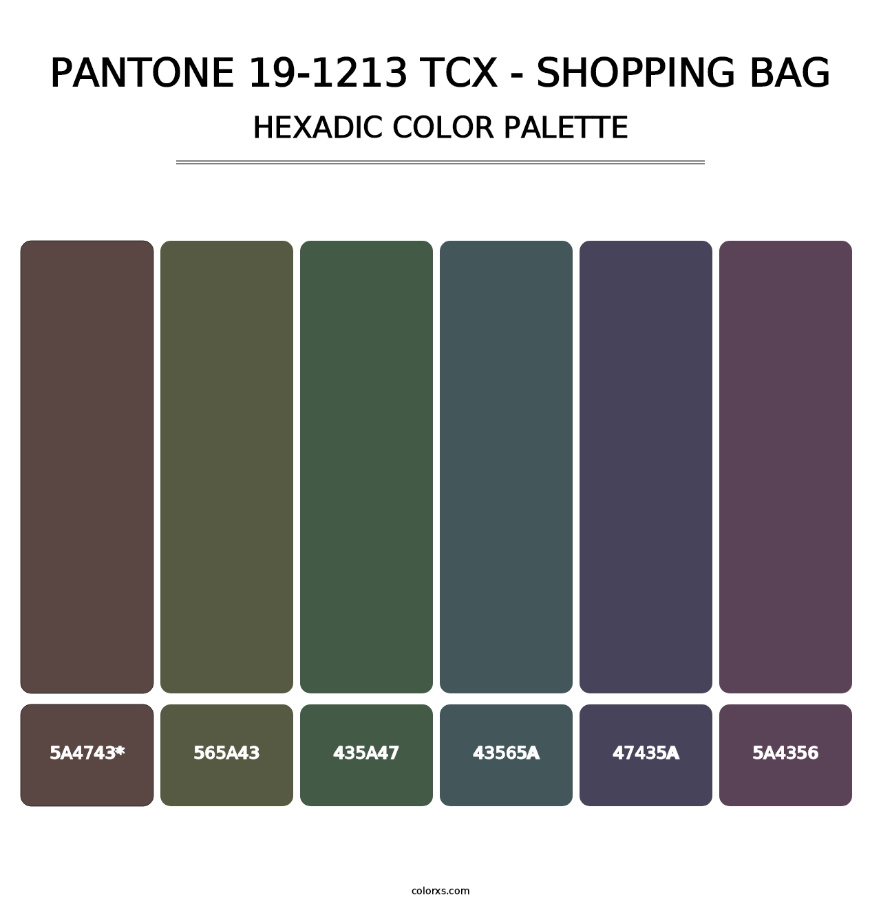 PANTONE 19-1213 TCX - Shopping Bag - Hexadic Color Palette