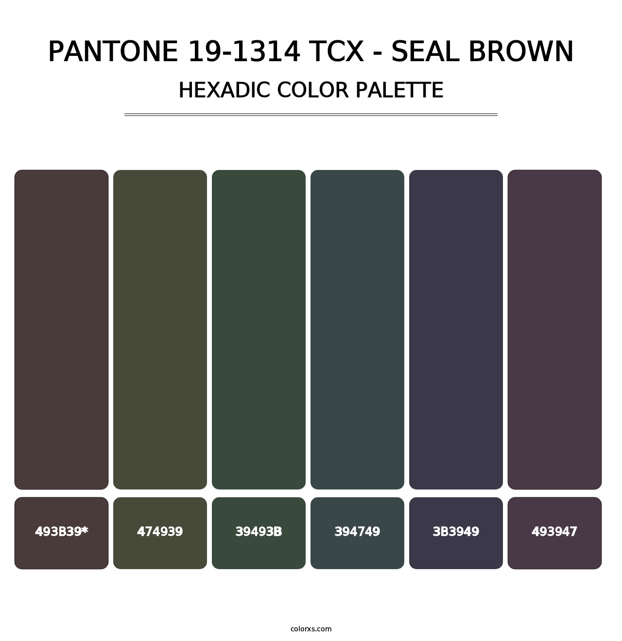 PANTONE 19-1314 TCX - Seal Brown - Hexadic Color Palette