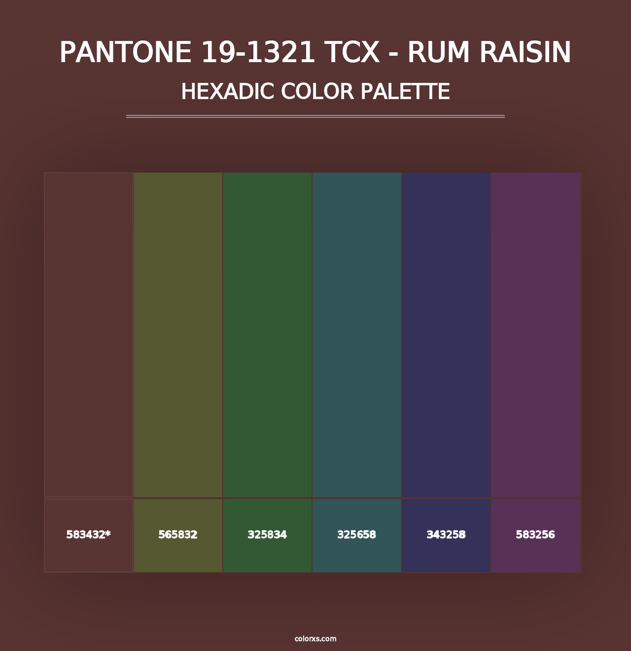 PANTONE 19-1321 TCX - Rum Raisin - Hexadic Color Palette