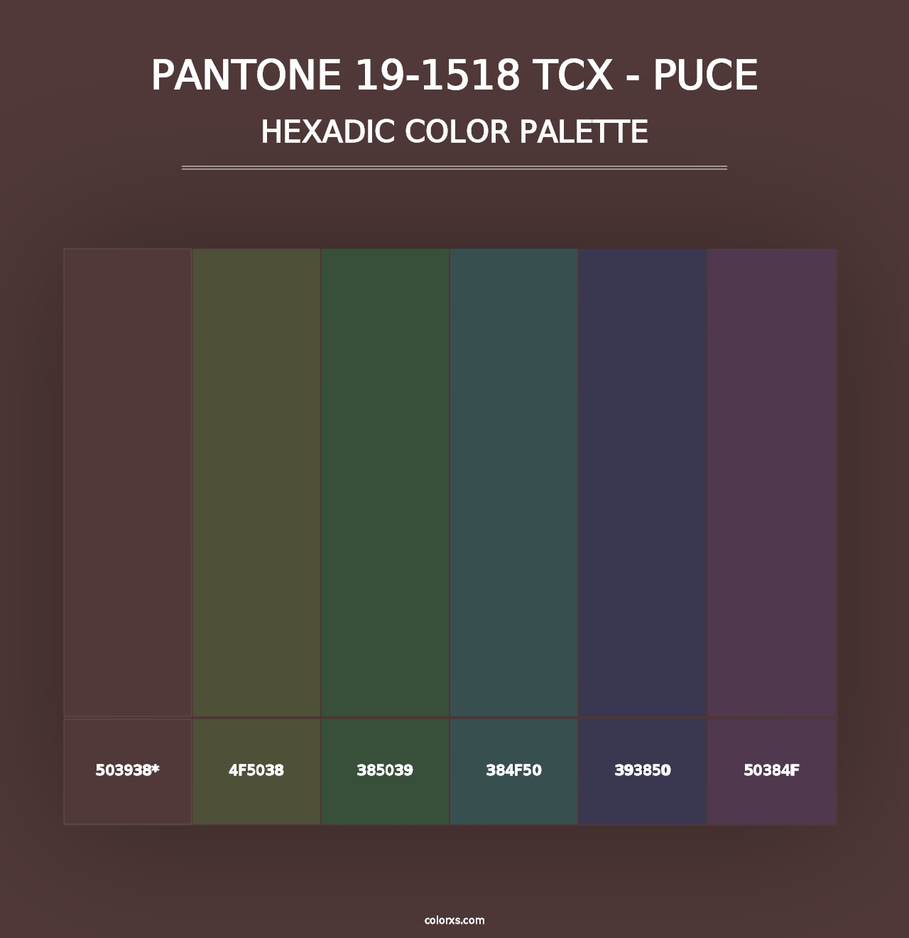 PANTONE 19-1518 TCX - Puce - Hexadic Color Palette