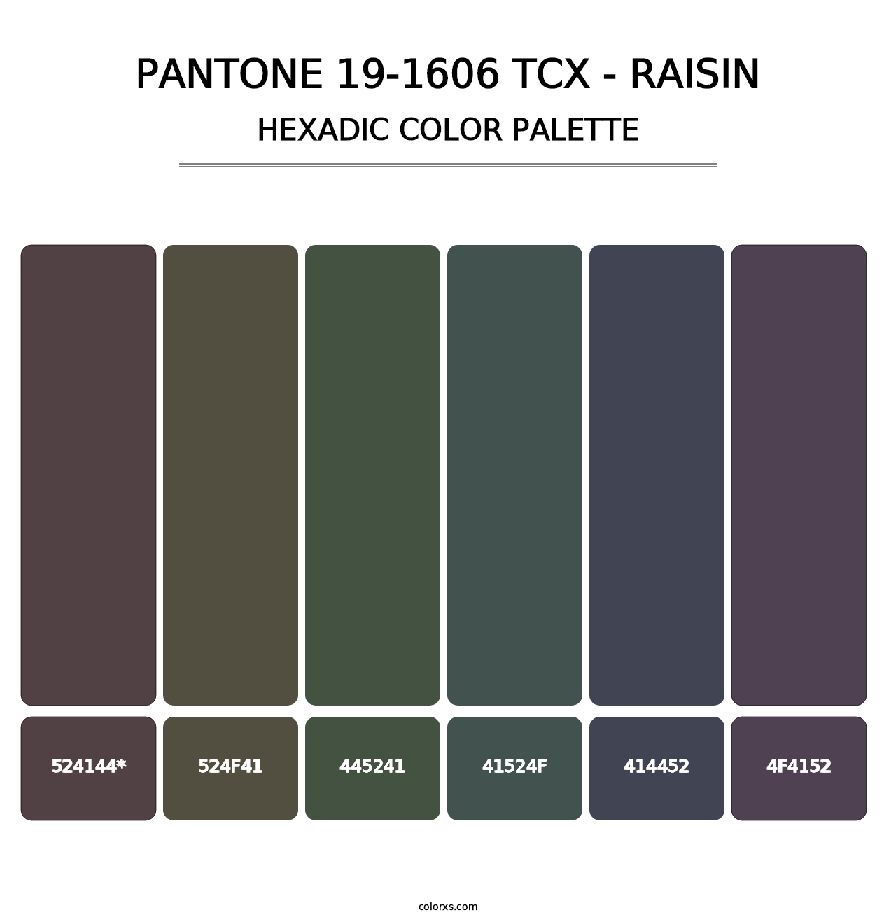 PANTONE 19-1606 TCX - Raisin - Hexadic Color Palette