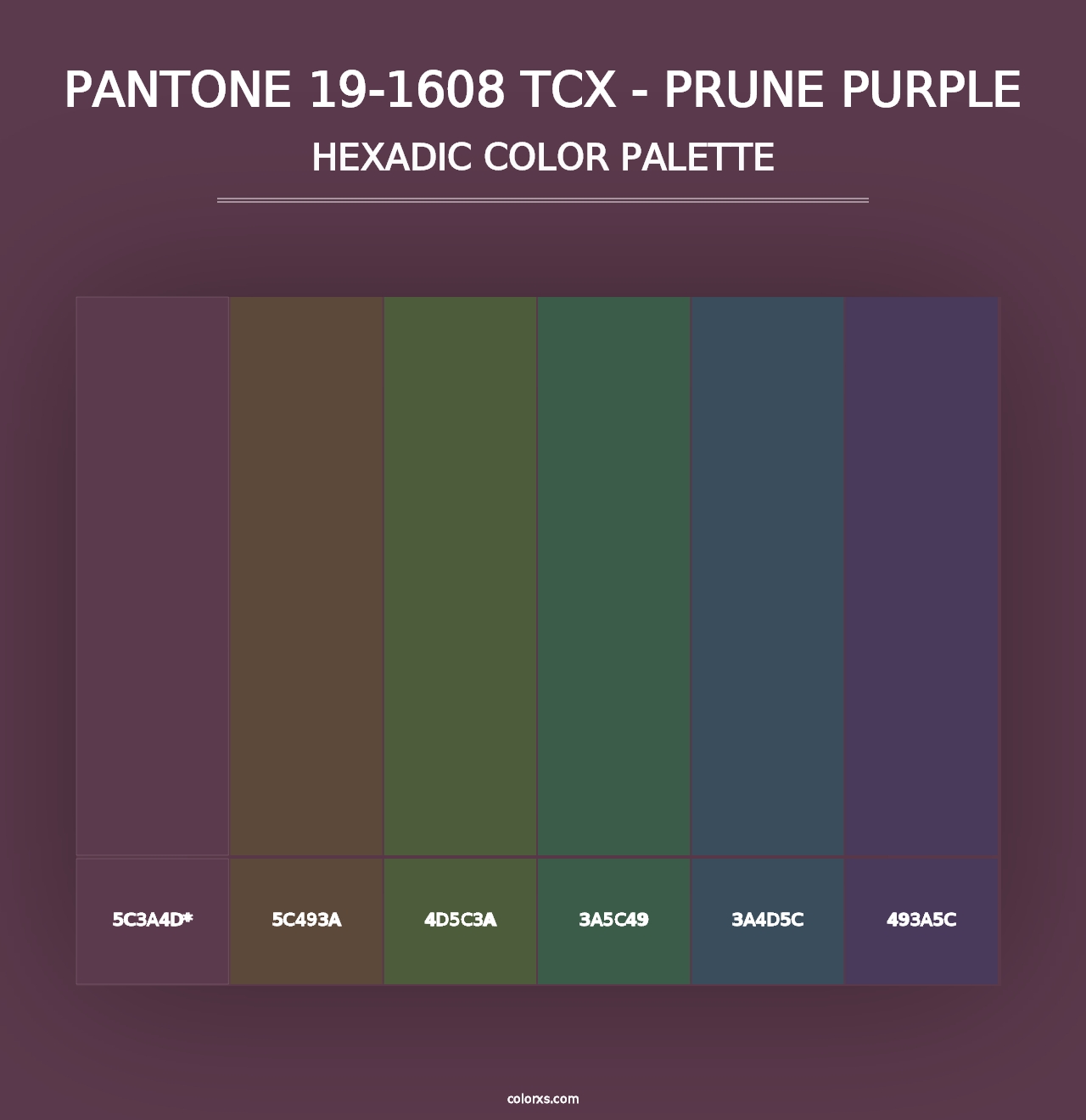 PANTONE 19-1608 TCX - Prune Purple - Hexadic Color Palette