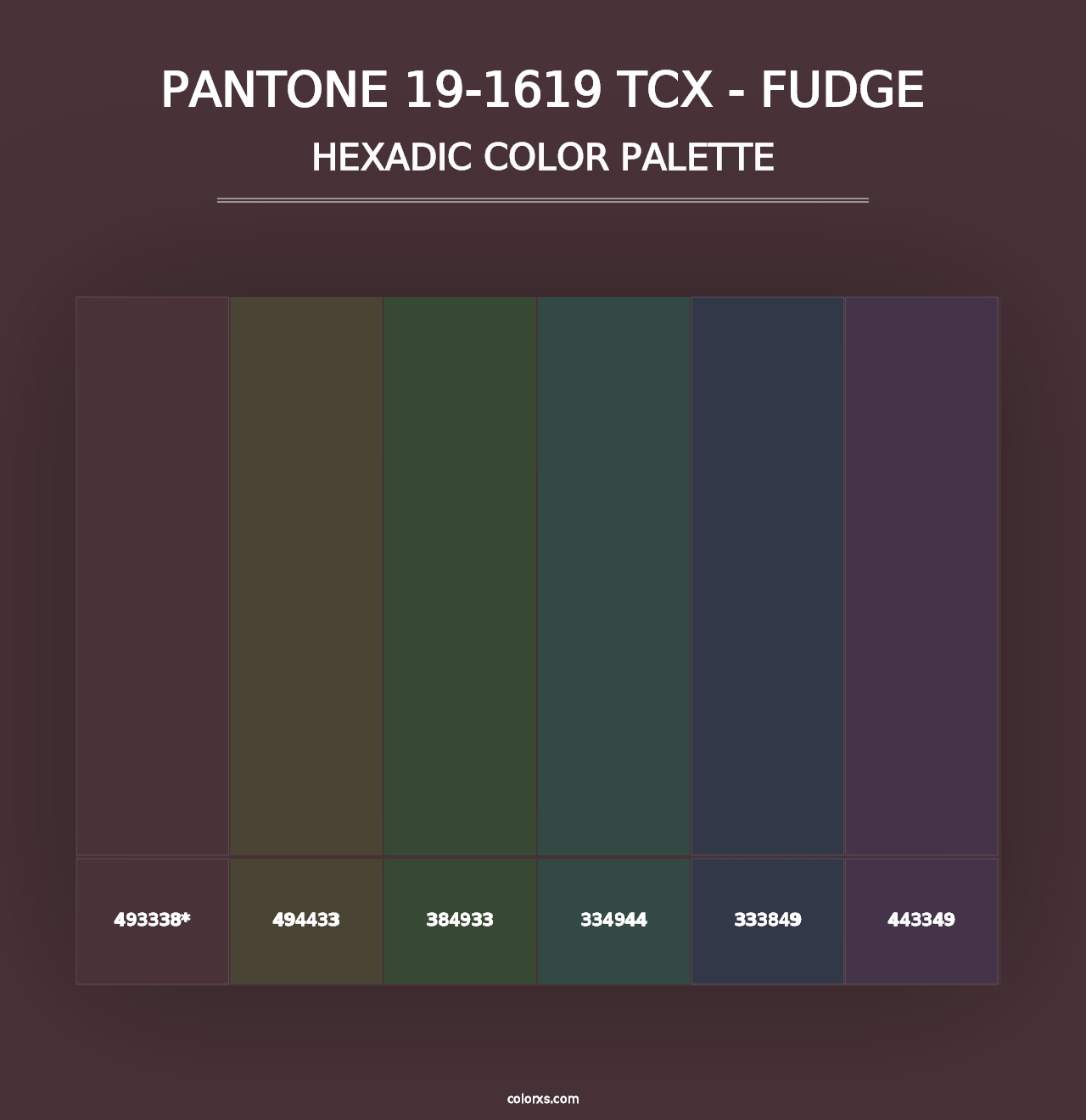 PANTONE 19-1619 TCX - Fudge - Hexadic Color Palette