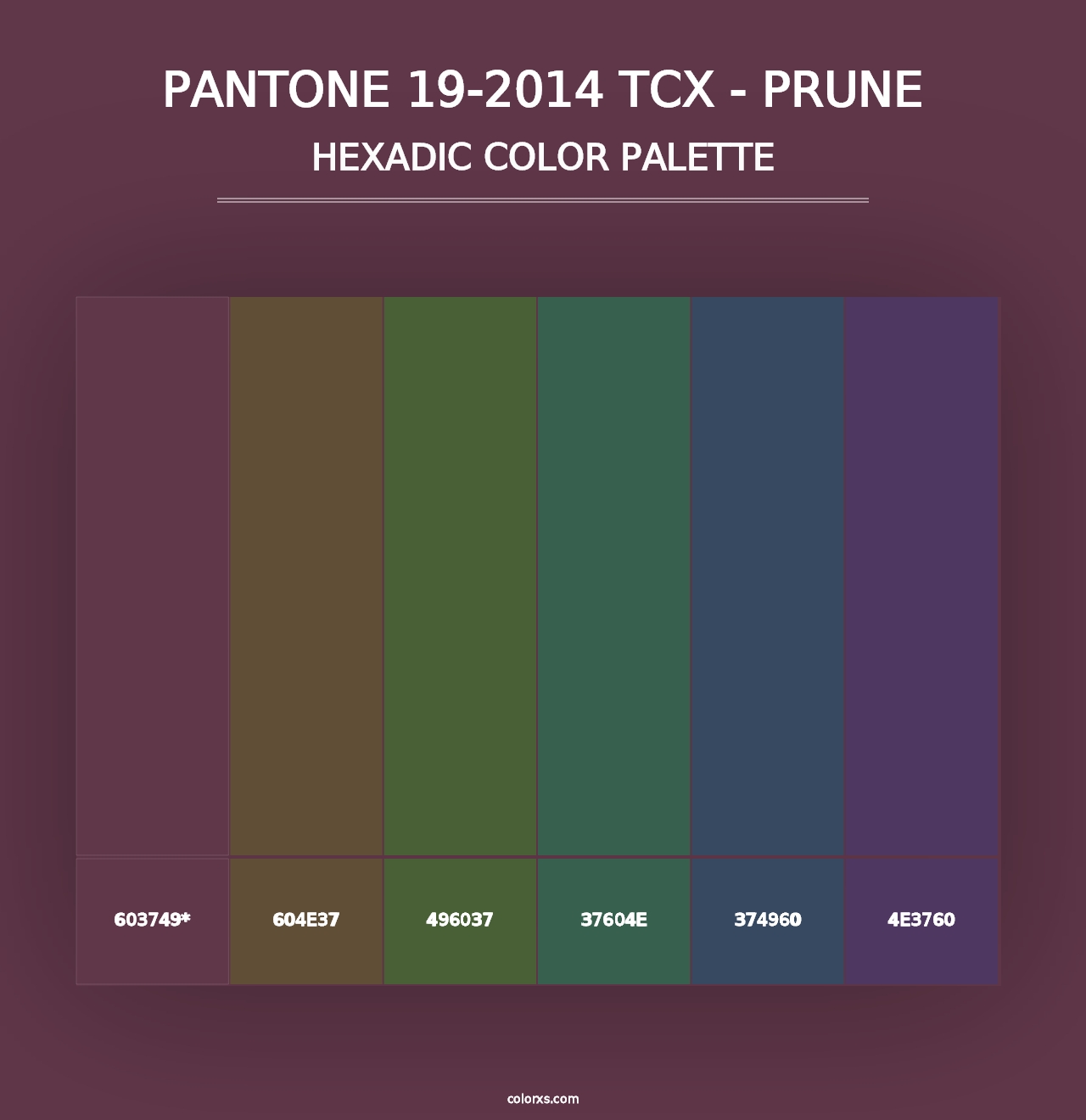 PANTONE 19-2014 TCX - Prune - Hexadic Color Palette