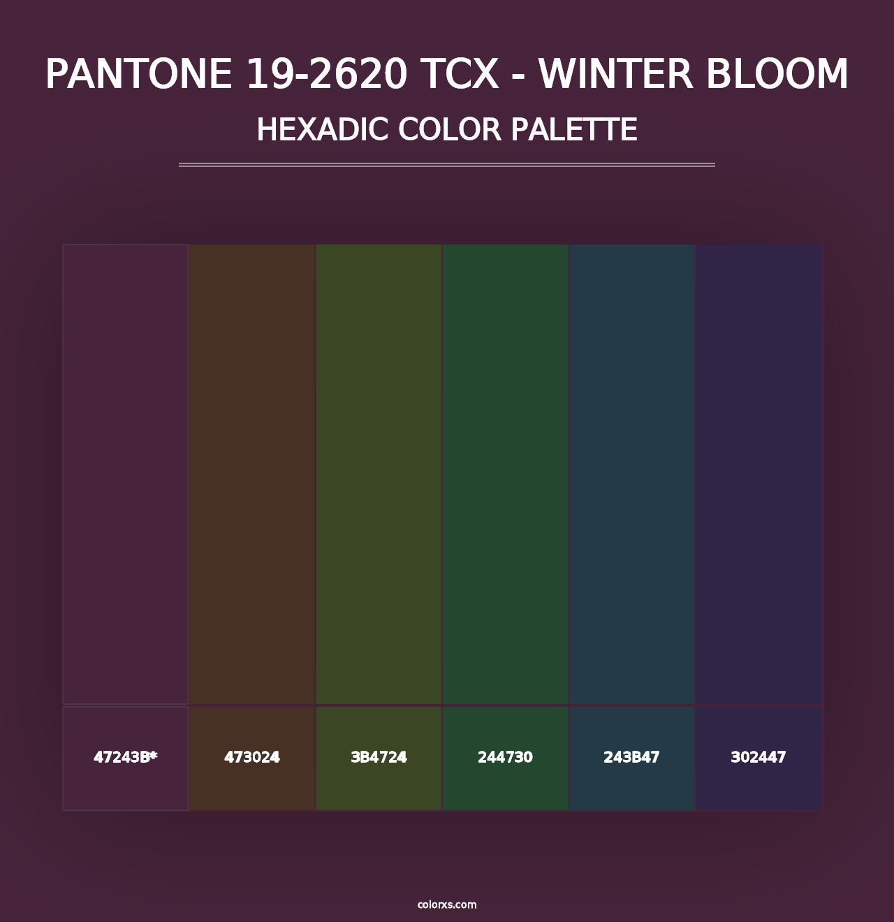 PANTONE 19-2620 TCX - Winter Bloom - Hexadic Color Palette