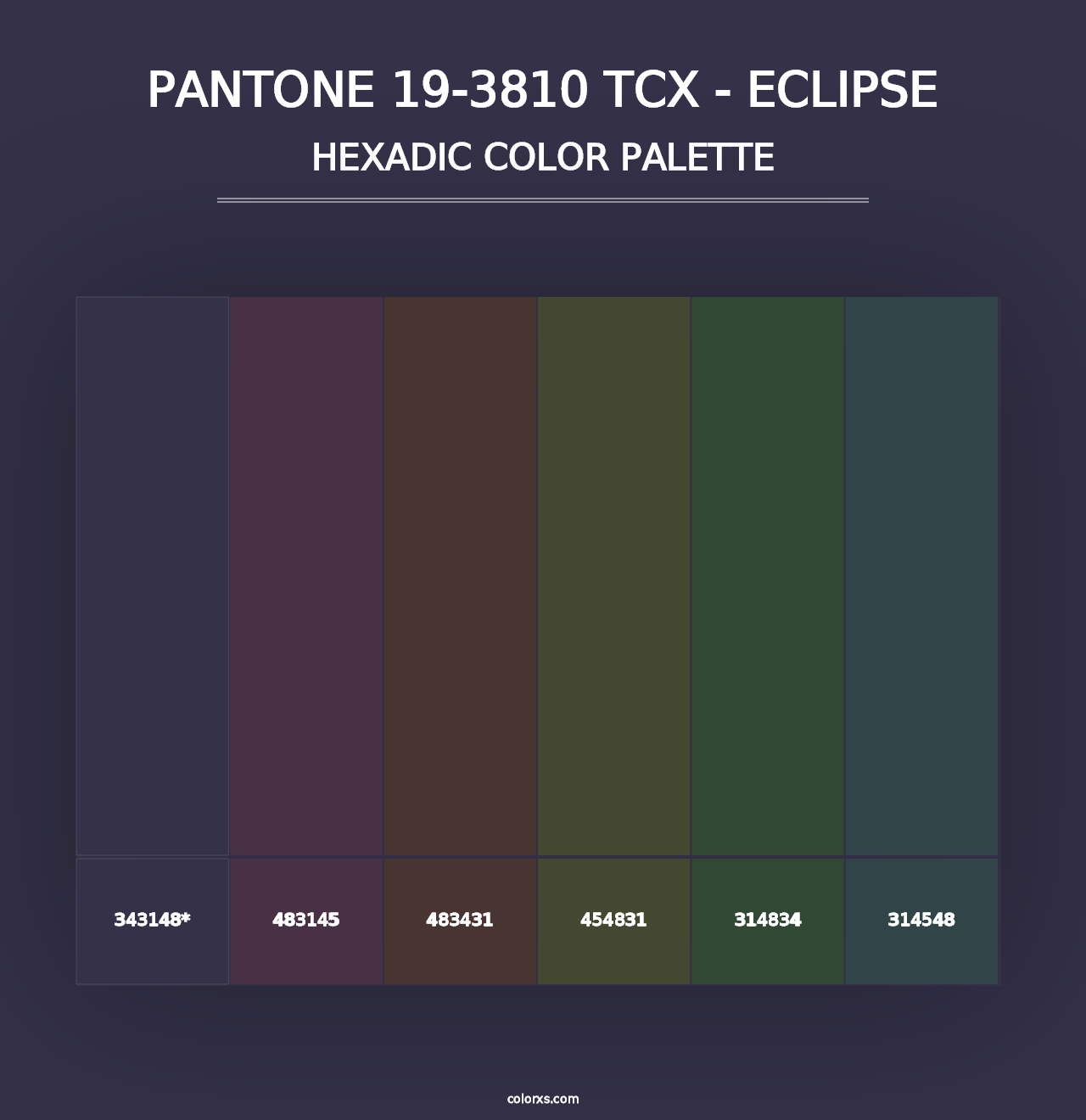 PANTONE 19-3810 TCX - Eclipse - Hexadic Color Palette