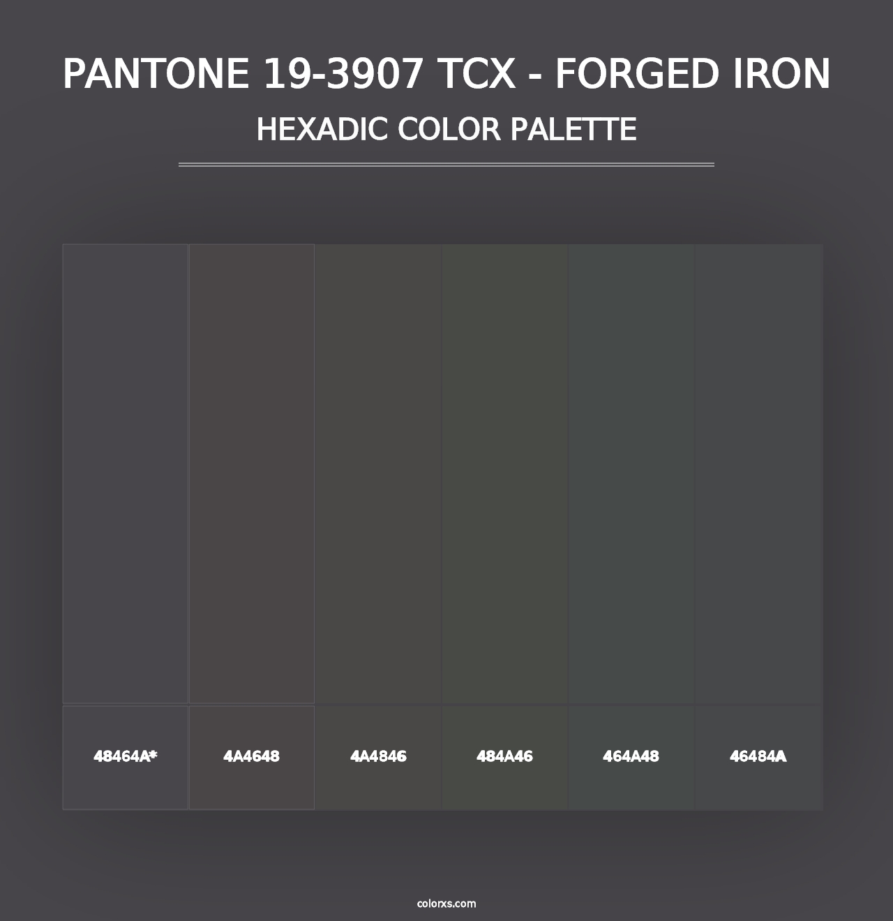 PANTONE 19-3907 TCX - Forged Iron - Hexadic Color Palette