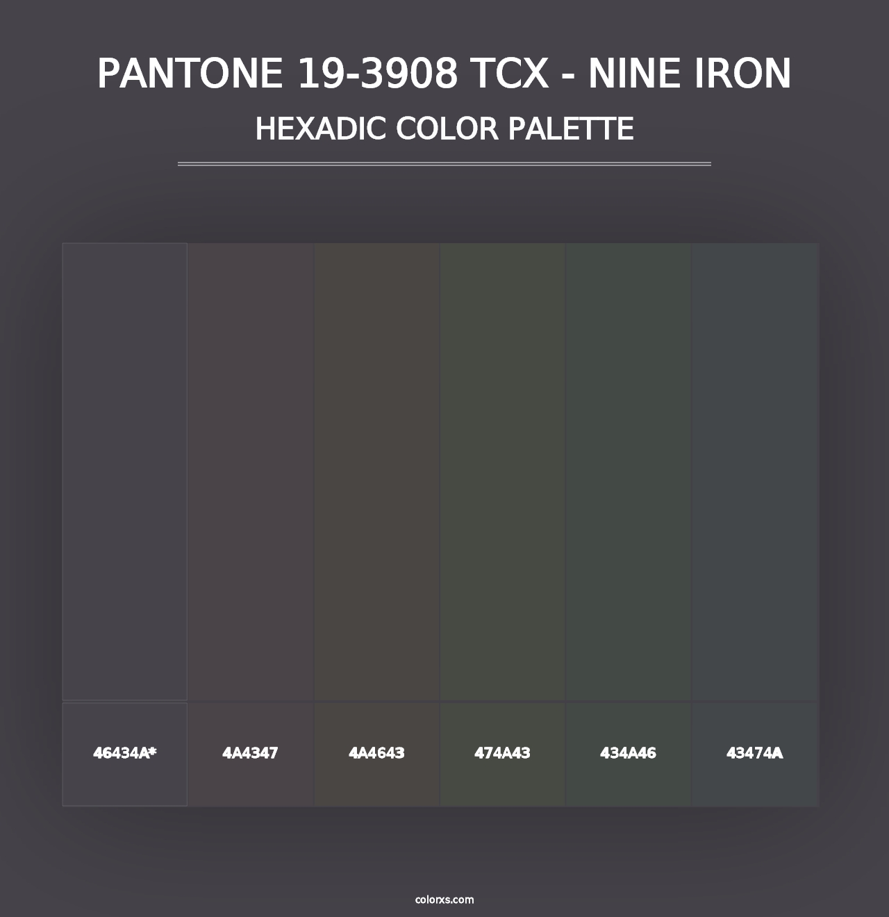 PANTONE 19-3908 TCX - Nine Iron - Hexadic Color Palette