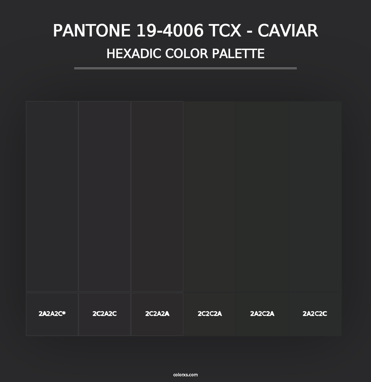 PANTONE 19-4006 TCX - Caviar - Hexadic Color Palette