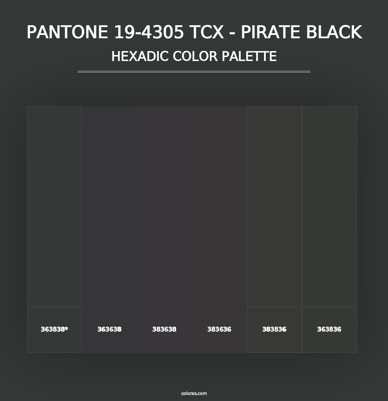 PANTONE 19-4305 TCX - Pirate Black - Hexadic Color Palette