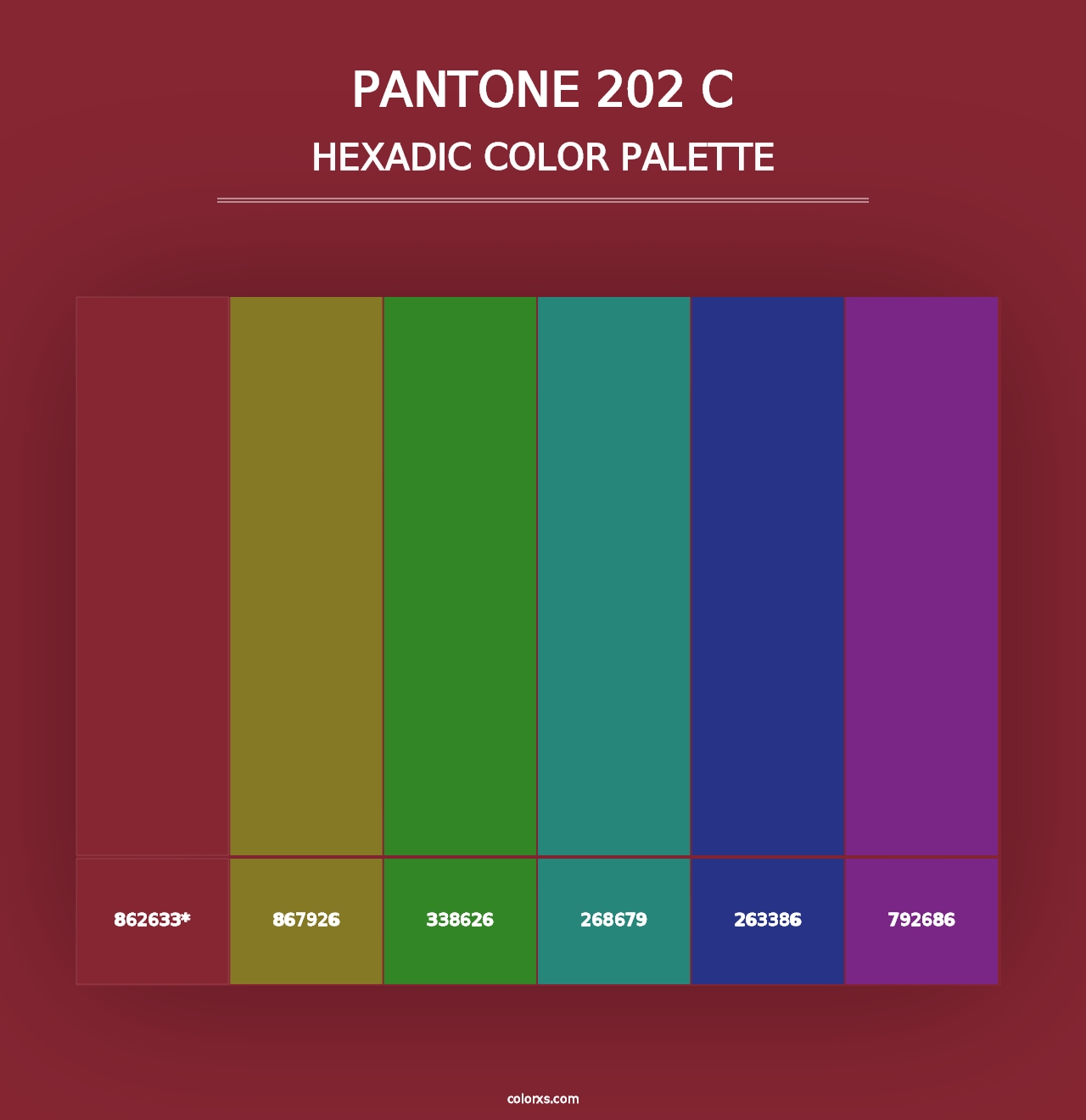 PANTONE 202 C - Hexadic Color Palette