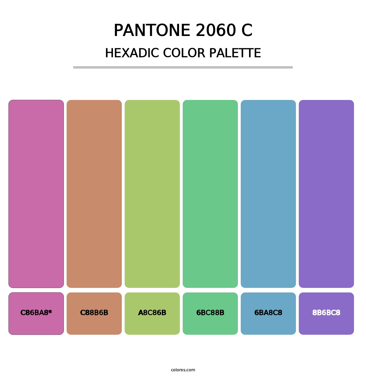 PANTONE 2060 C - Hexadic Color Palette