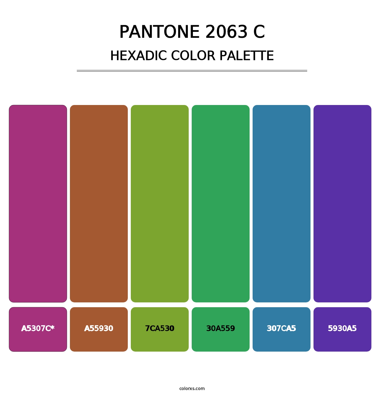 PANTONE 2063 C - Hexadic Color Palette