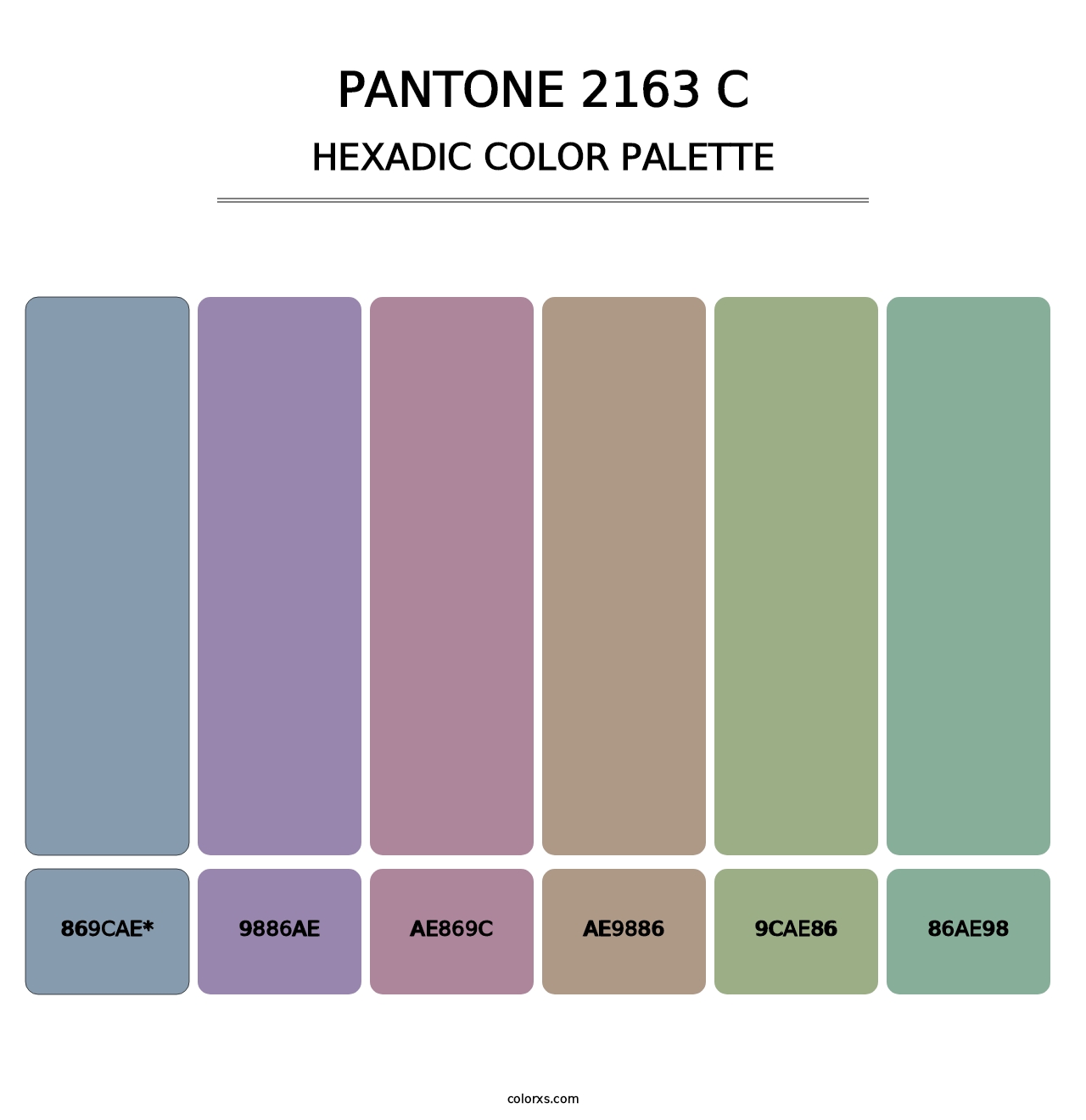 PANTONE 2163 C - Hexadic Color Palette