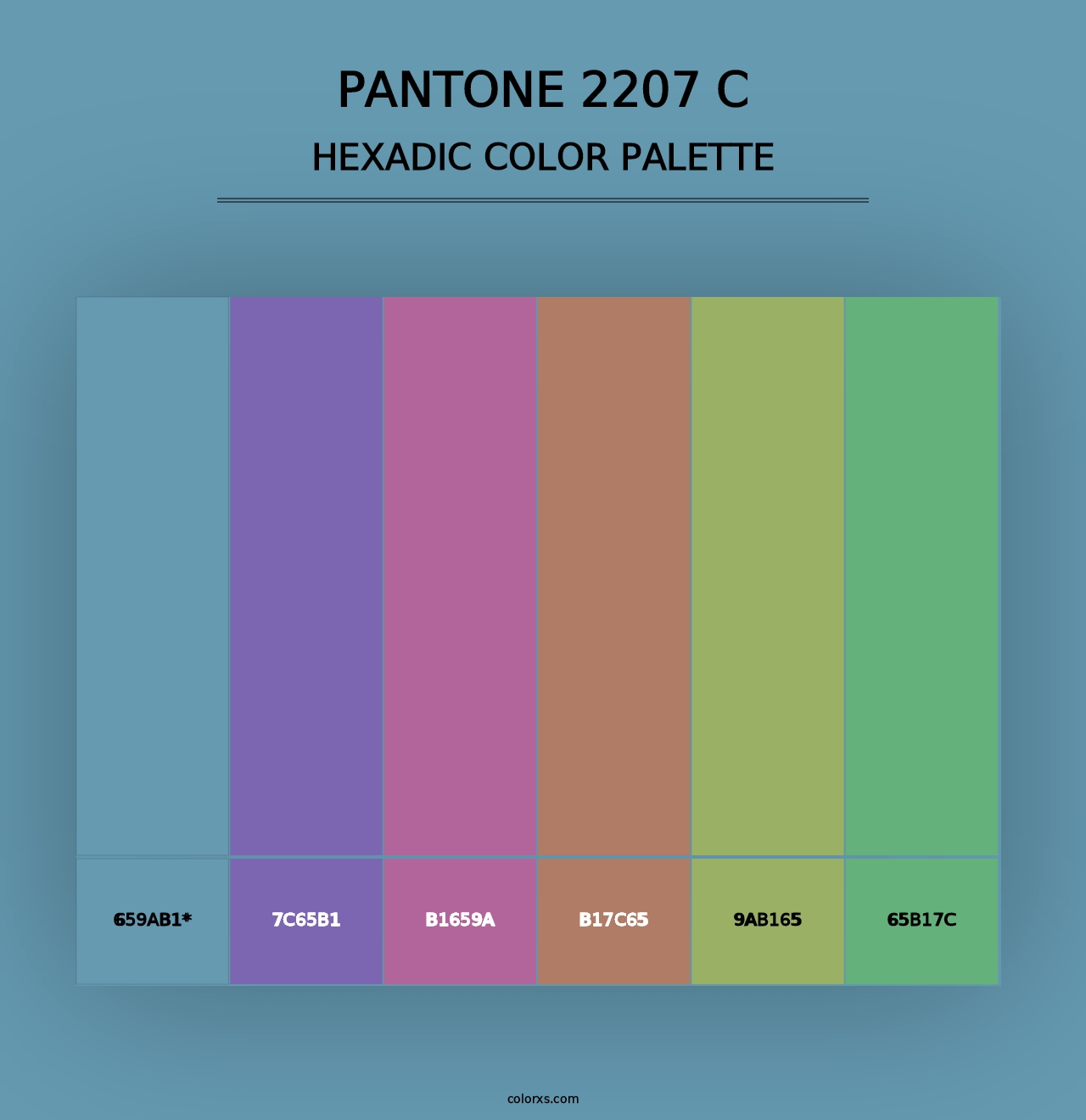 PANTONE 2207 C - Hexadic Color Palette