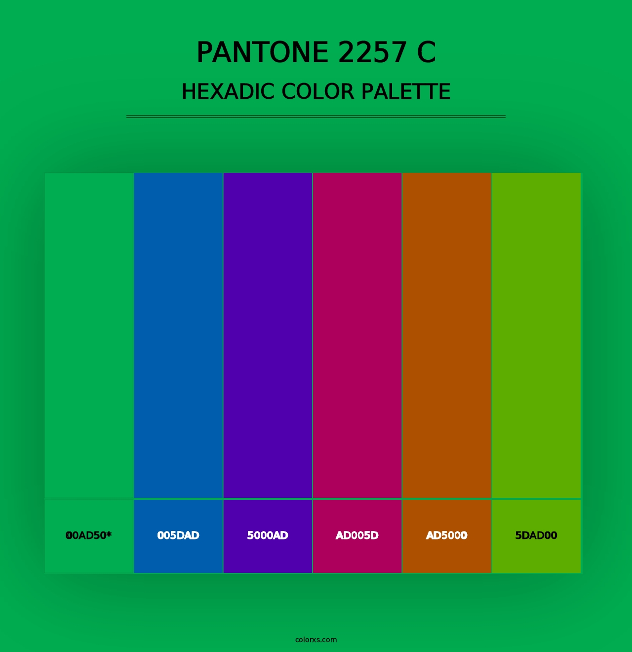 PANTONE 2257 C - Hexadic Color Palette