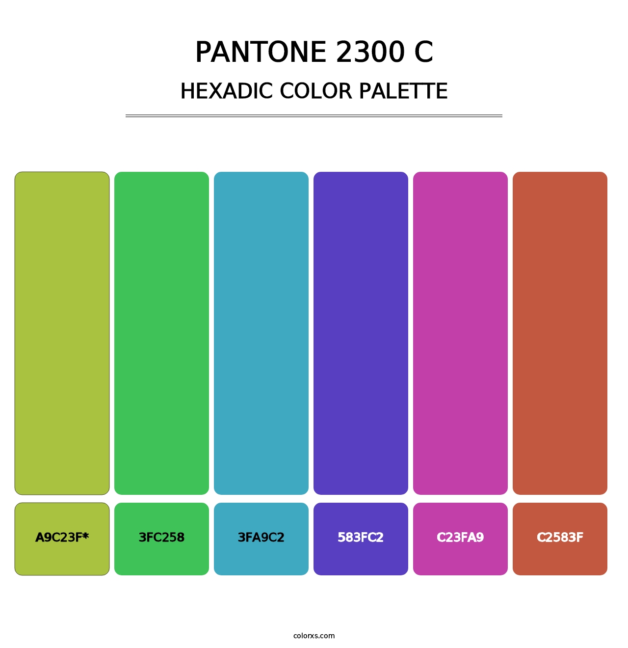 PANTONE 2300 C - Hexadic Color Palette