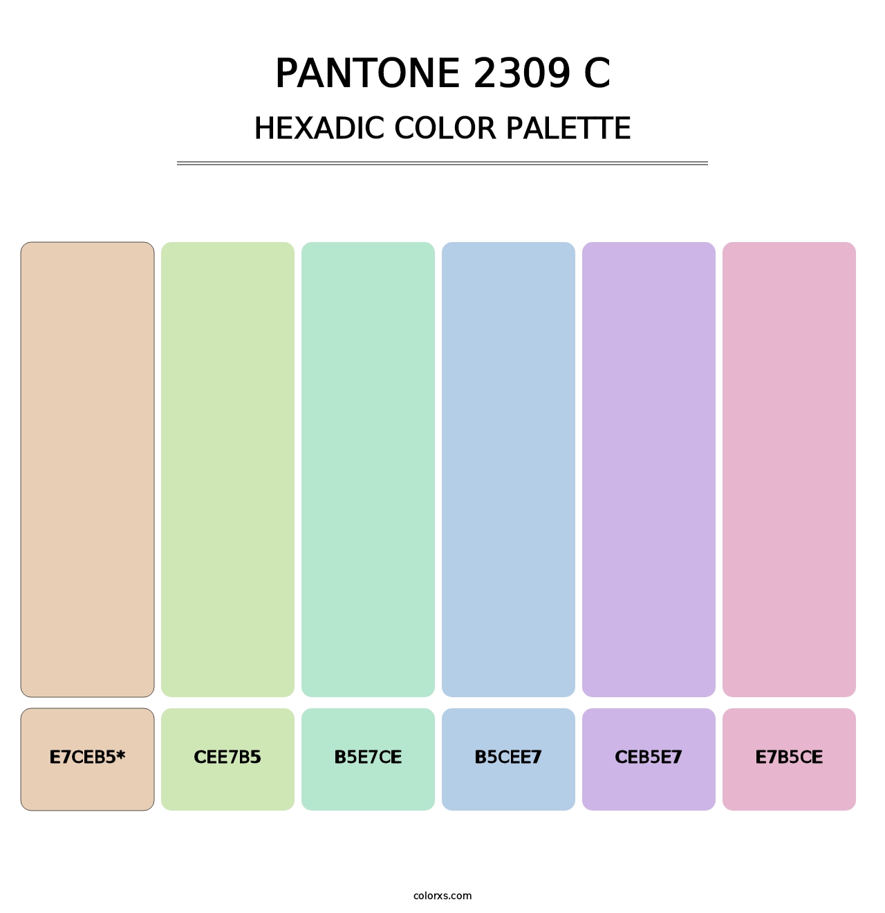 PANTONE 2309 C - Hexadic Color Palette