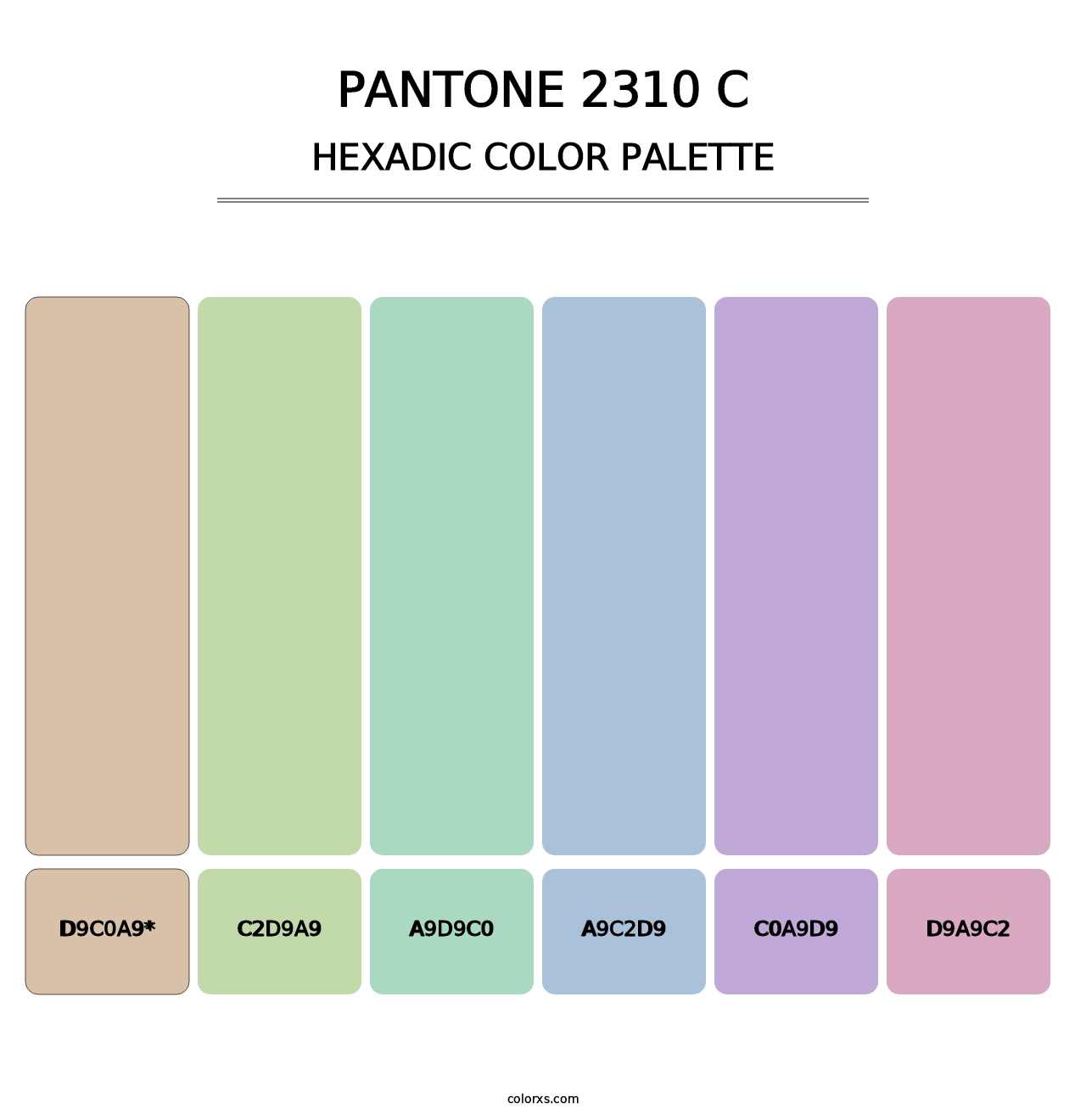 PANTONE 2310 C - Hexadic Color Palette