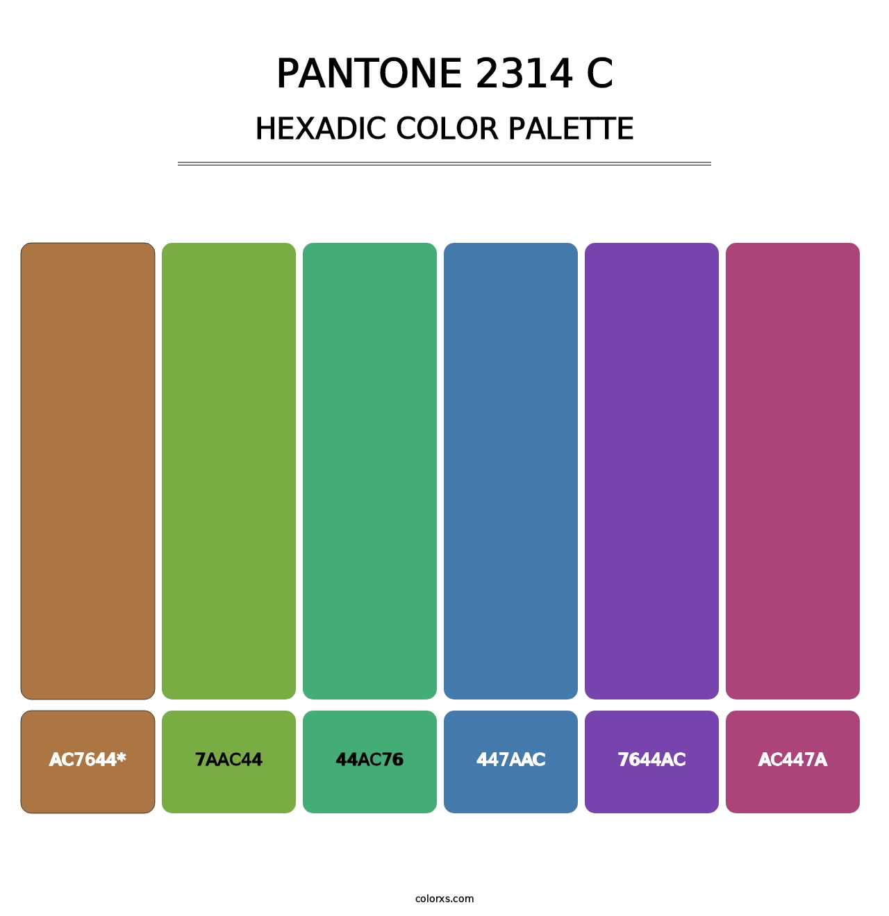 PANTONE 2314 C - Hexadic Color Palette