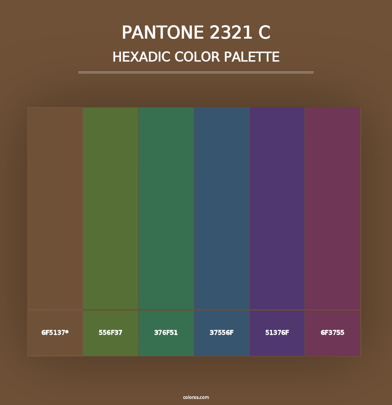 PANTONE 2321 C - Hexadic Color Palette