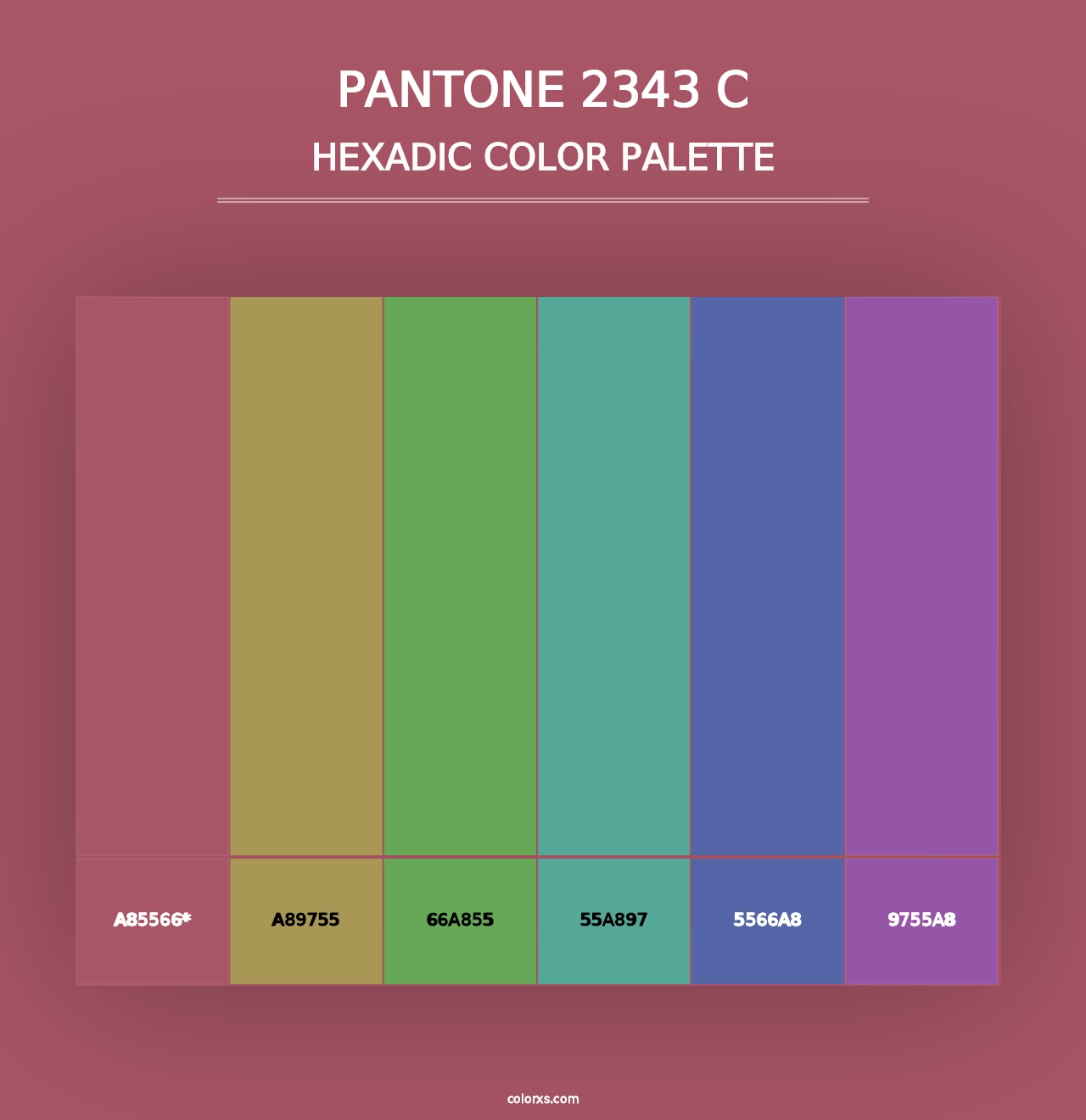 PANTONE 2343 C - Hexadic Color Palette