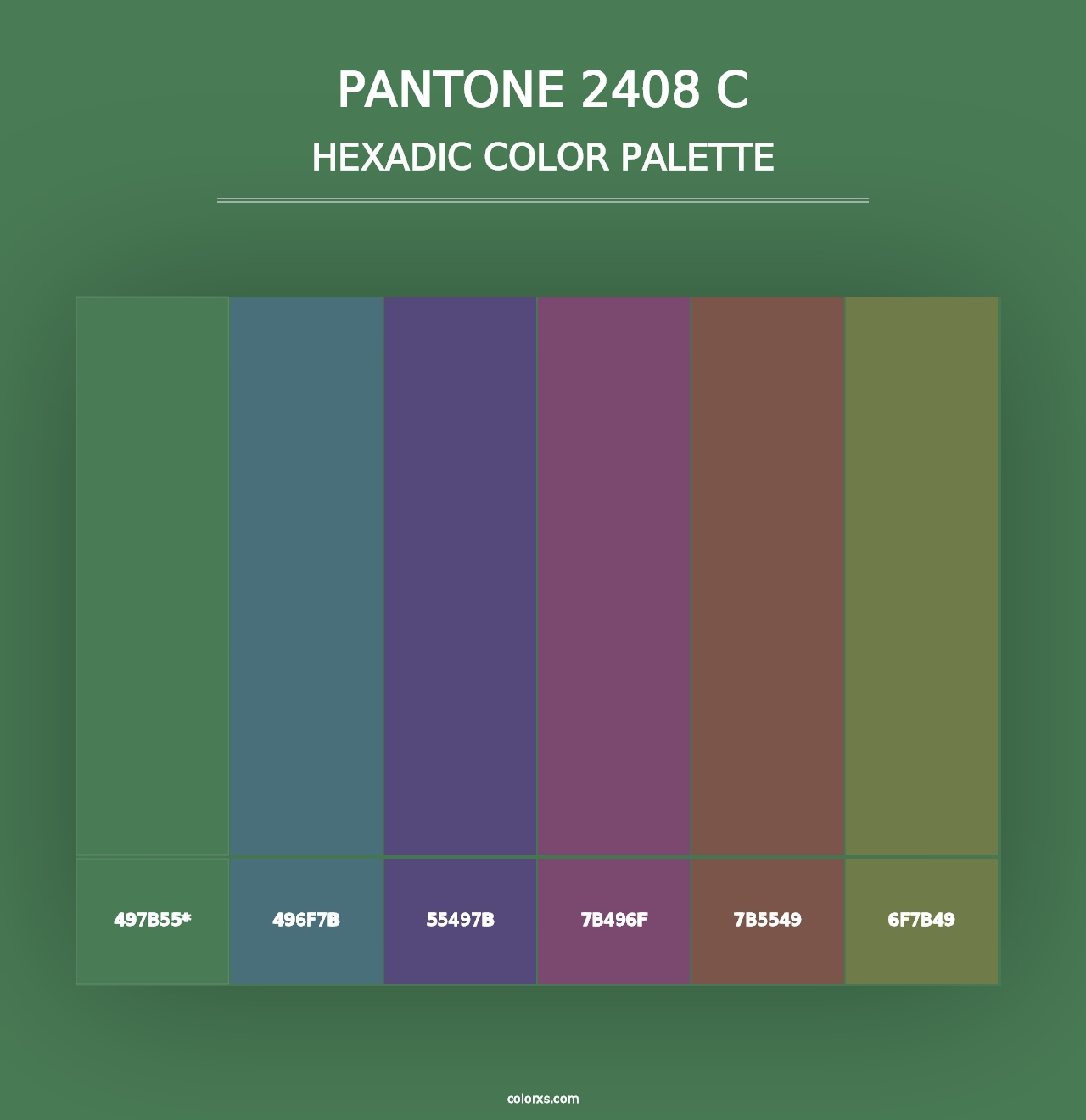 PANTONE 2408 C - Hexadic Color Palette