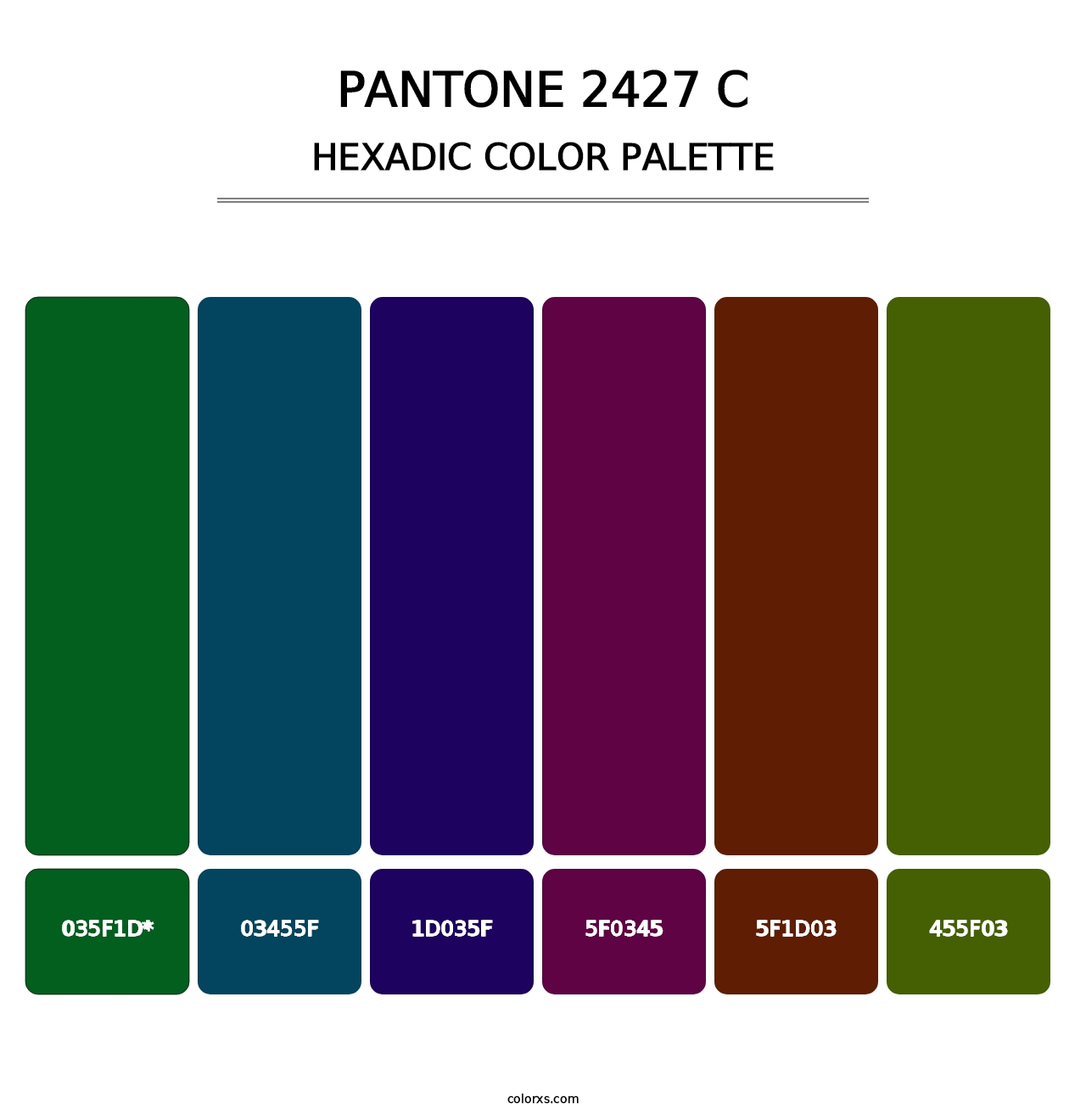 PANTONE 2427 C - Hexadic Color Palette